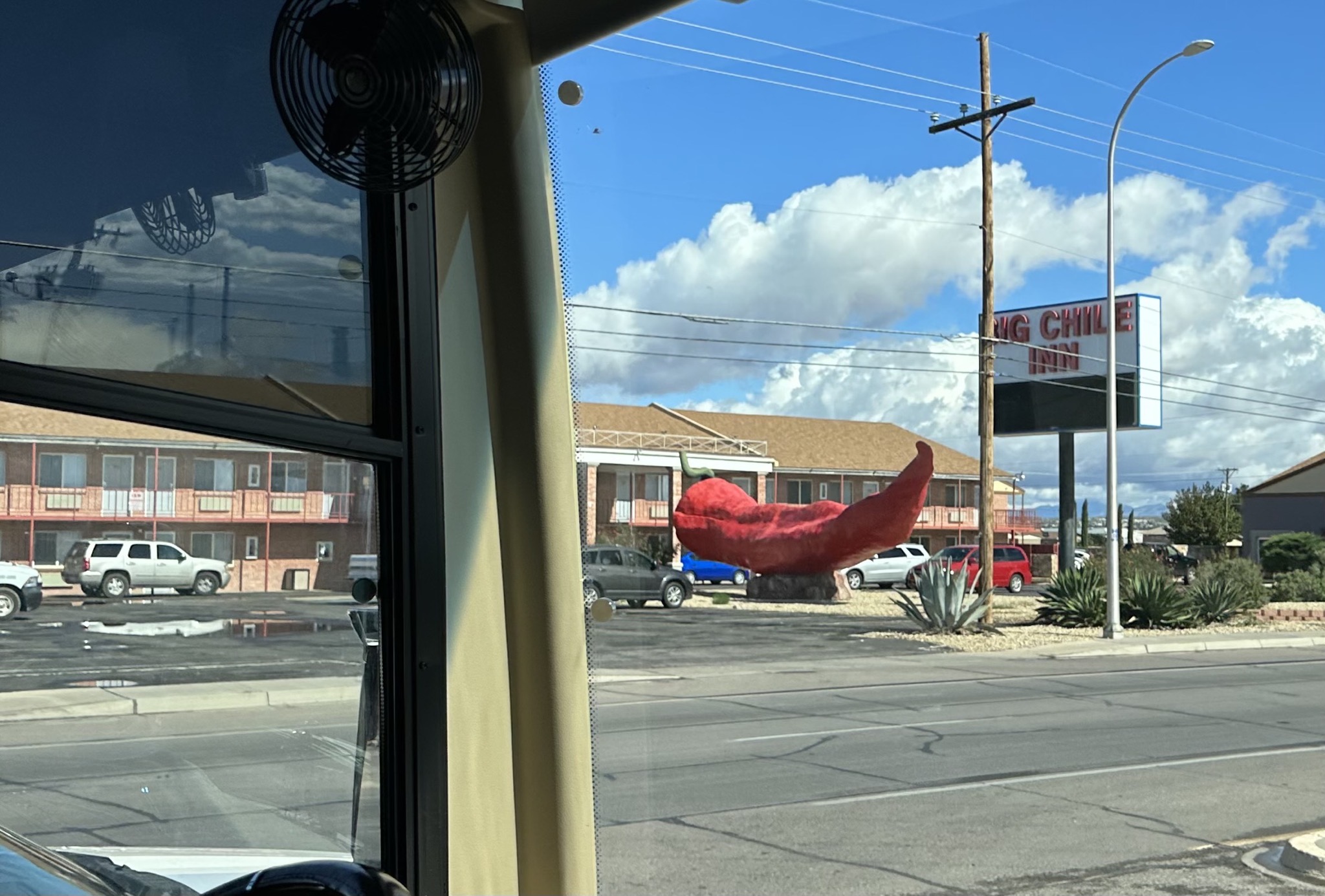 Giant chili