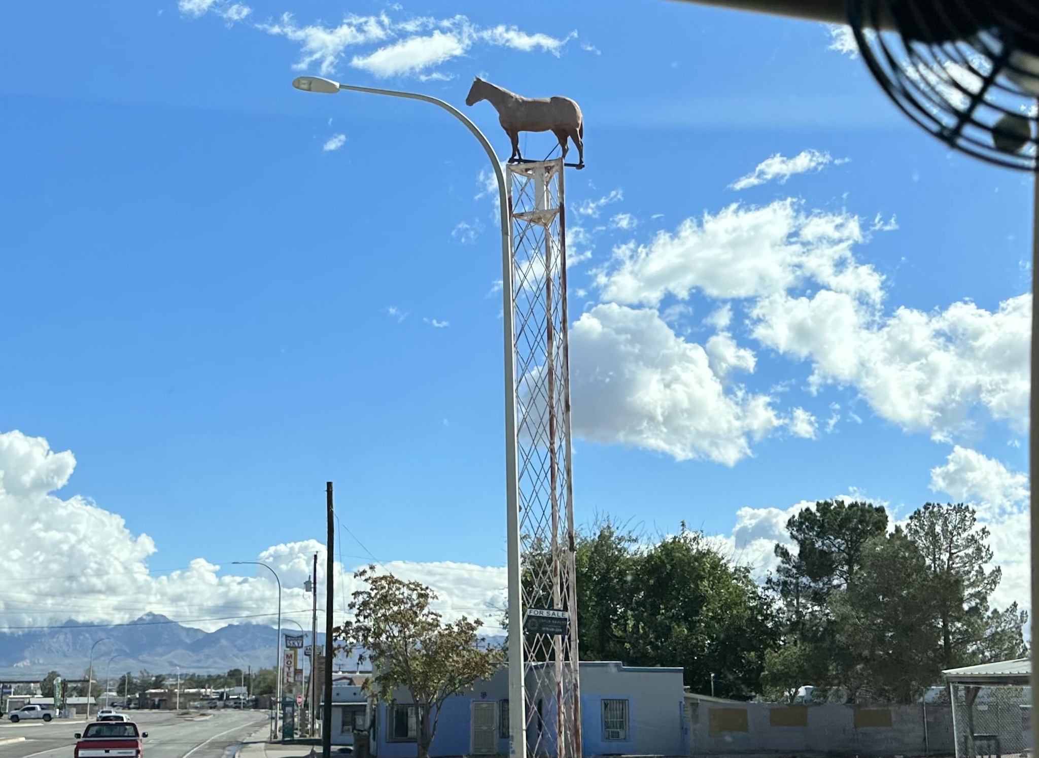 High horse