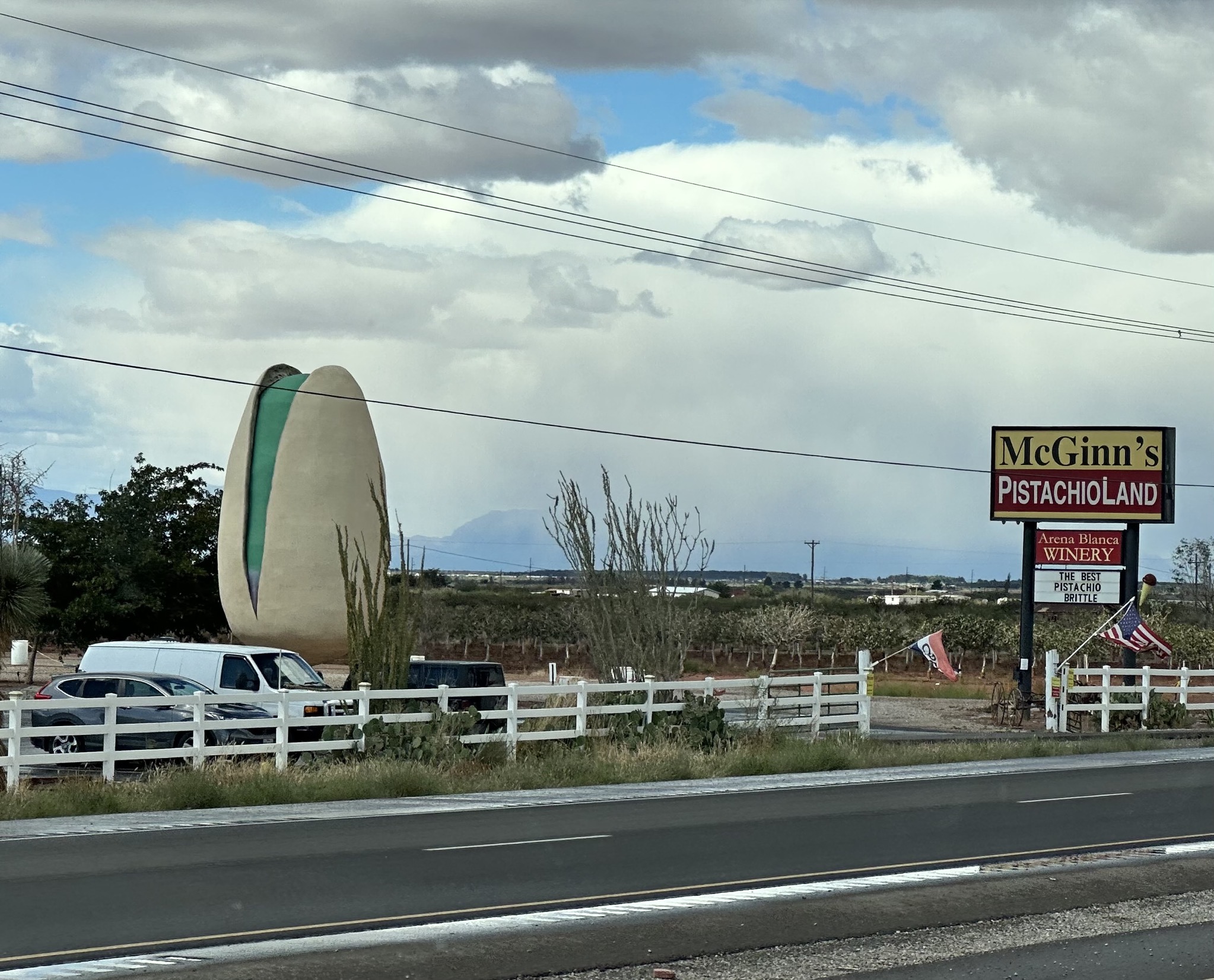 World's largest pistachio