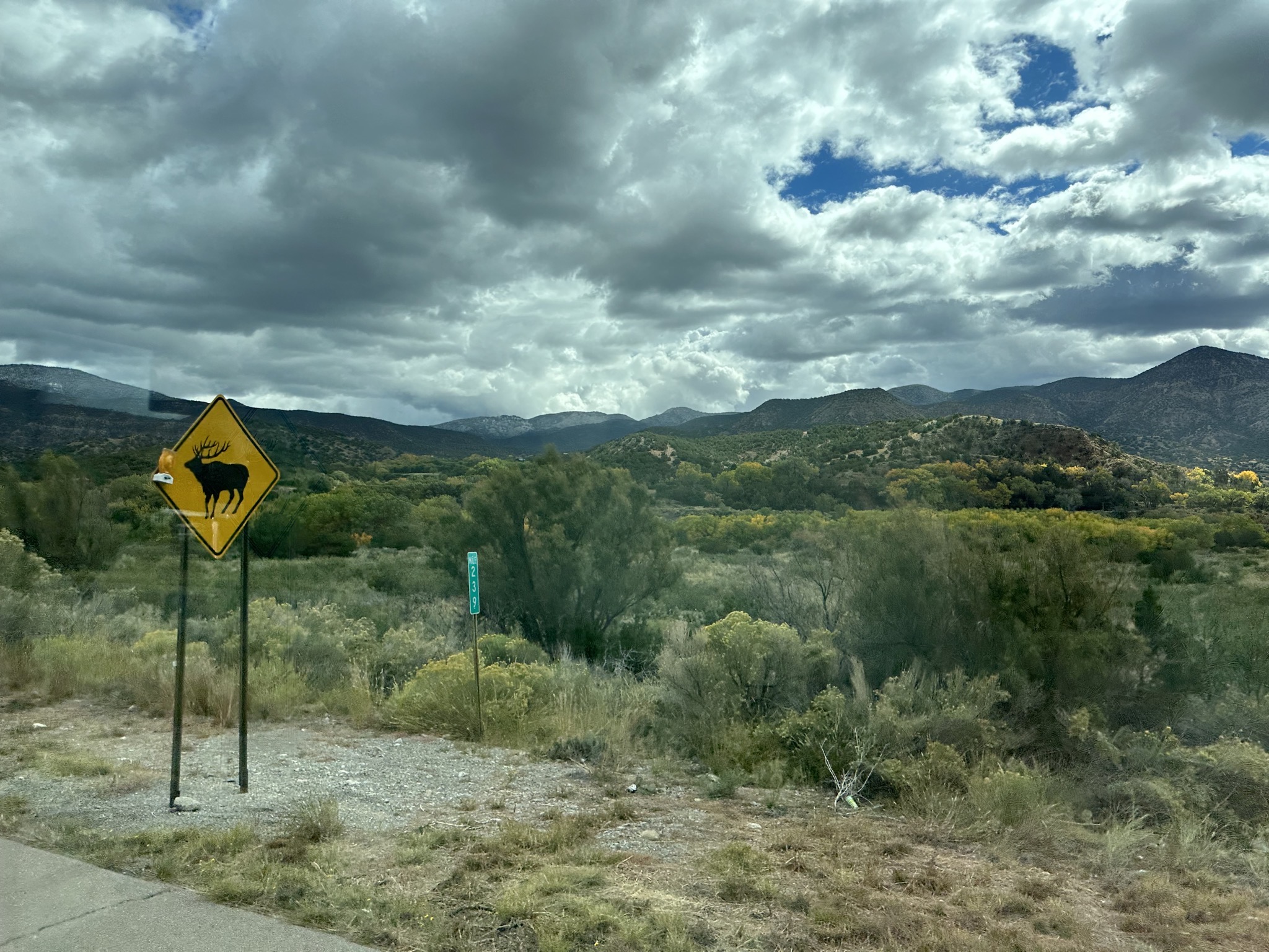 Elk crossing and view