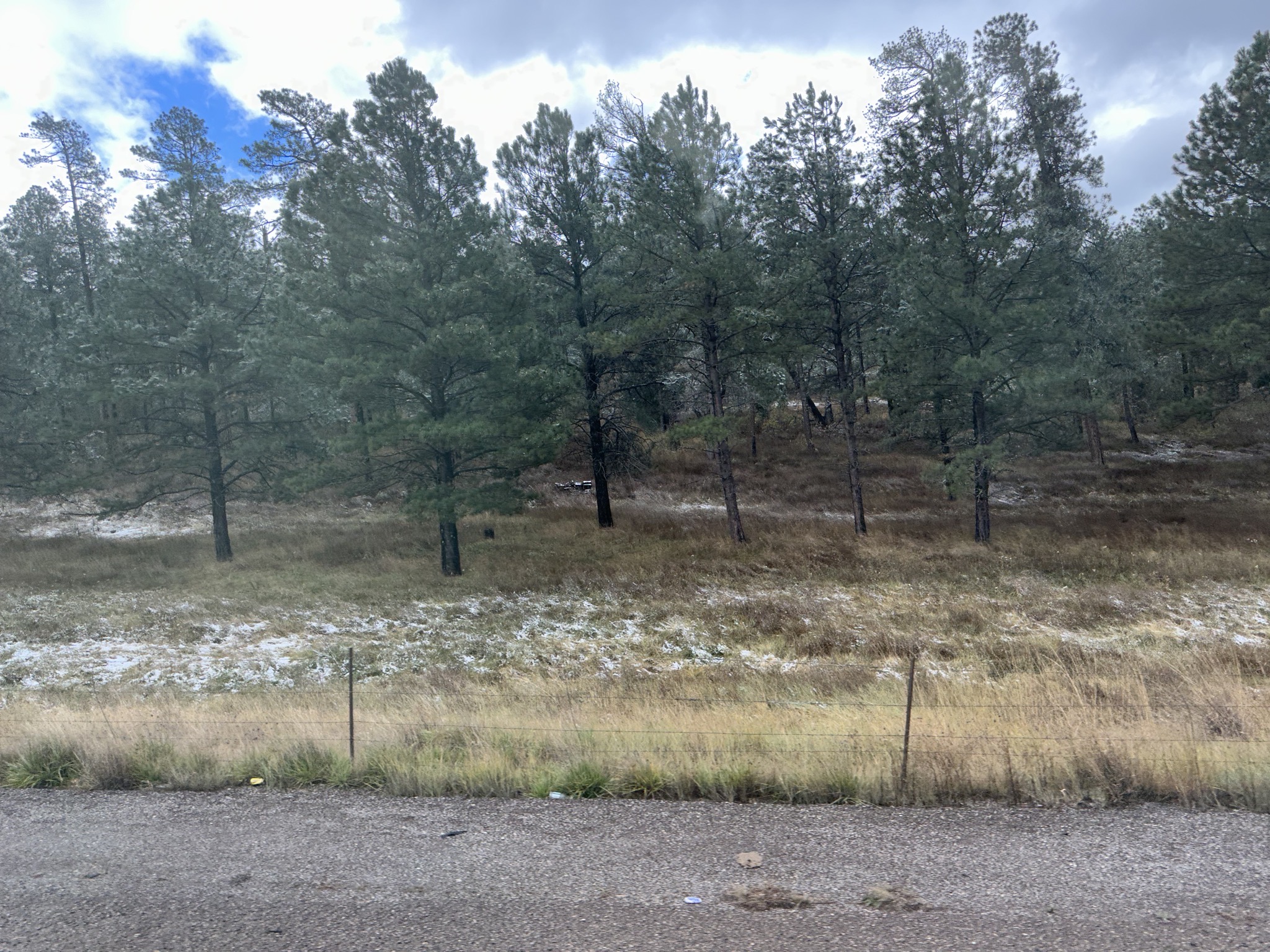 Snow on the ground