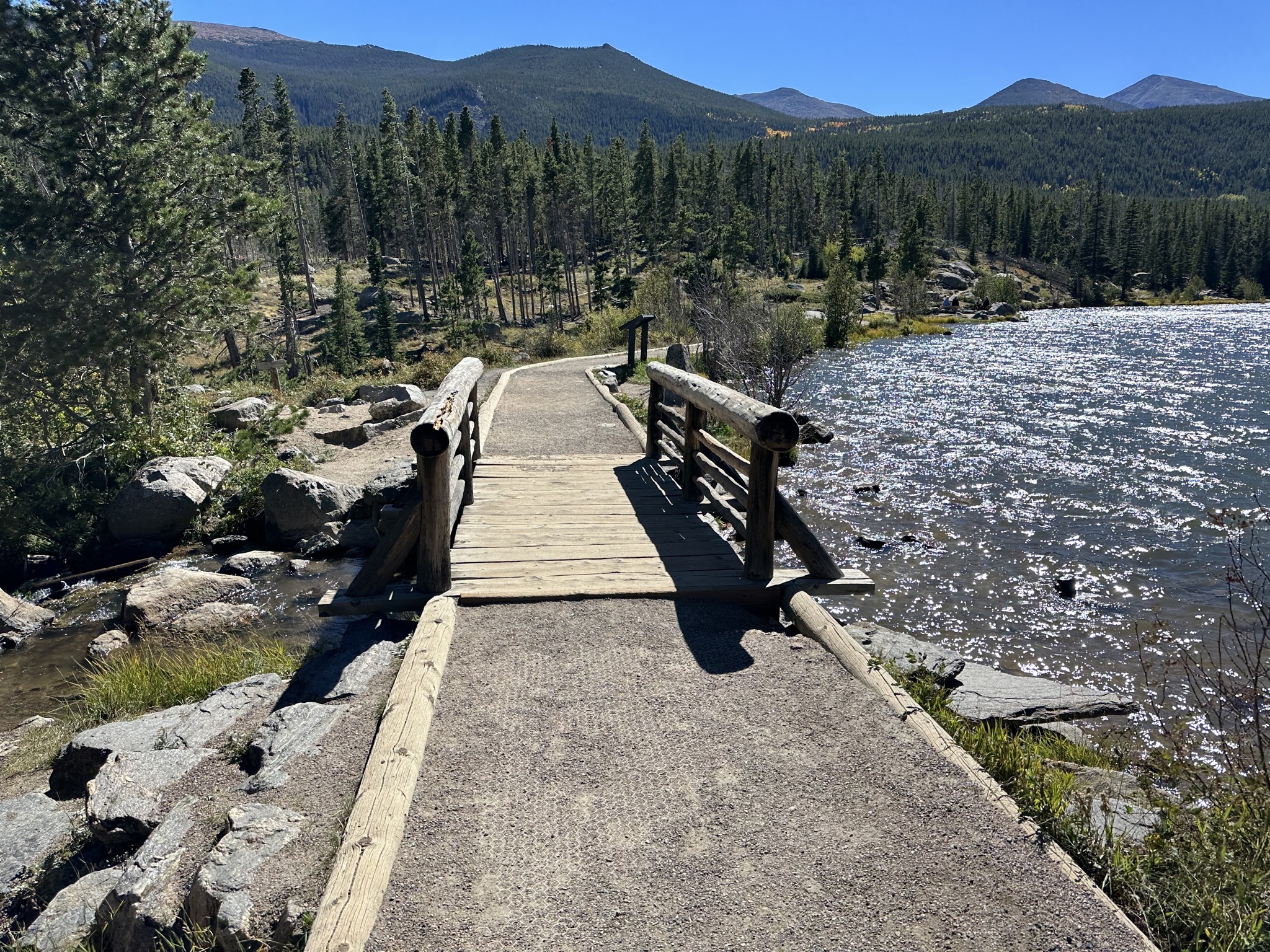 Bridge