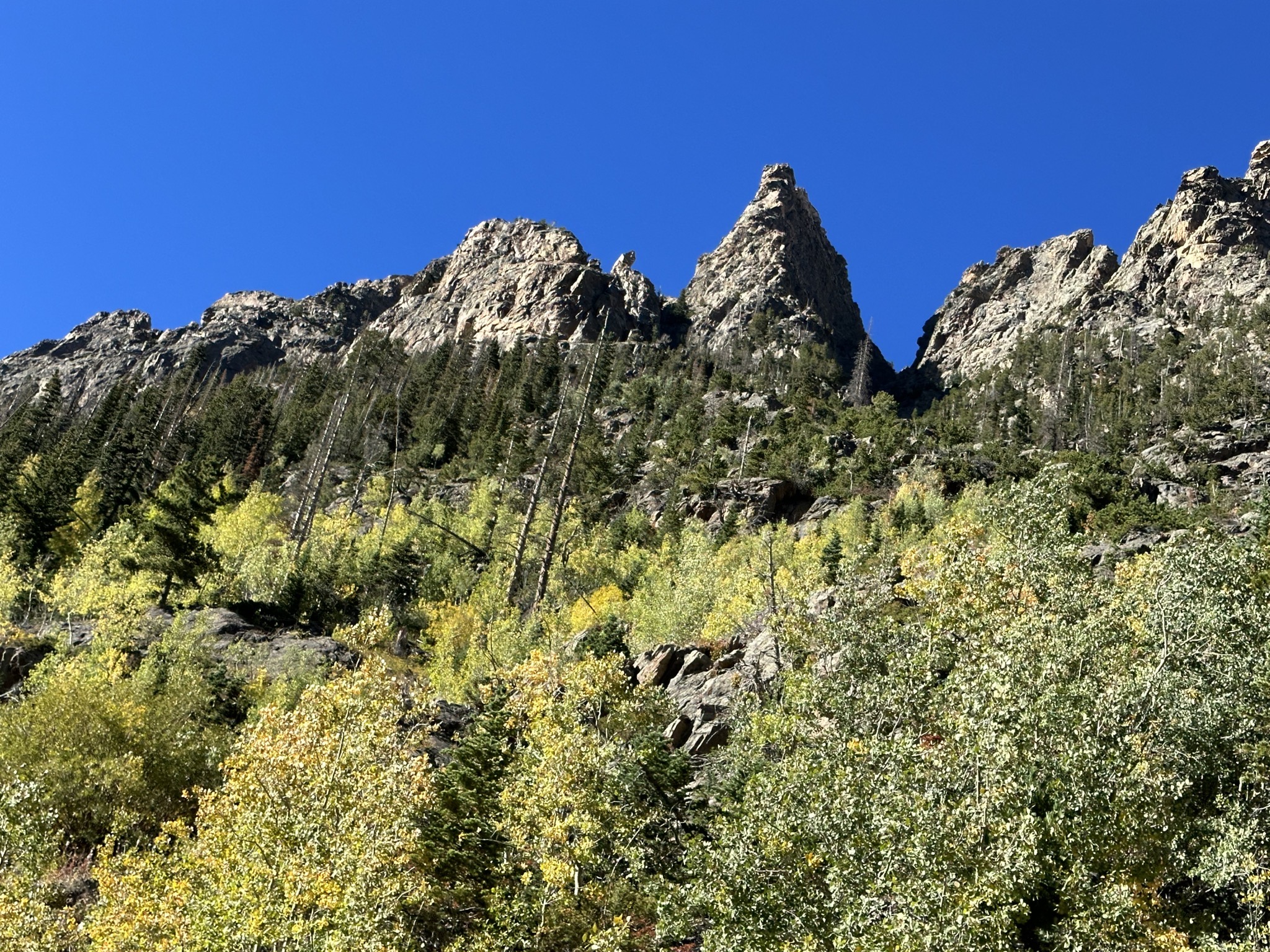 Old Fall River Road