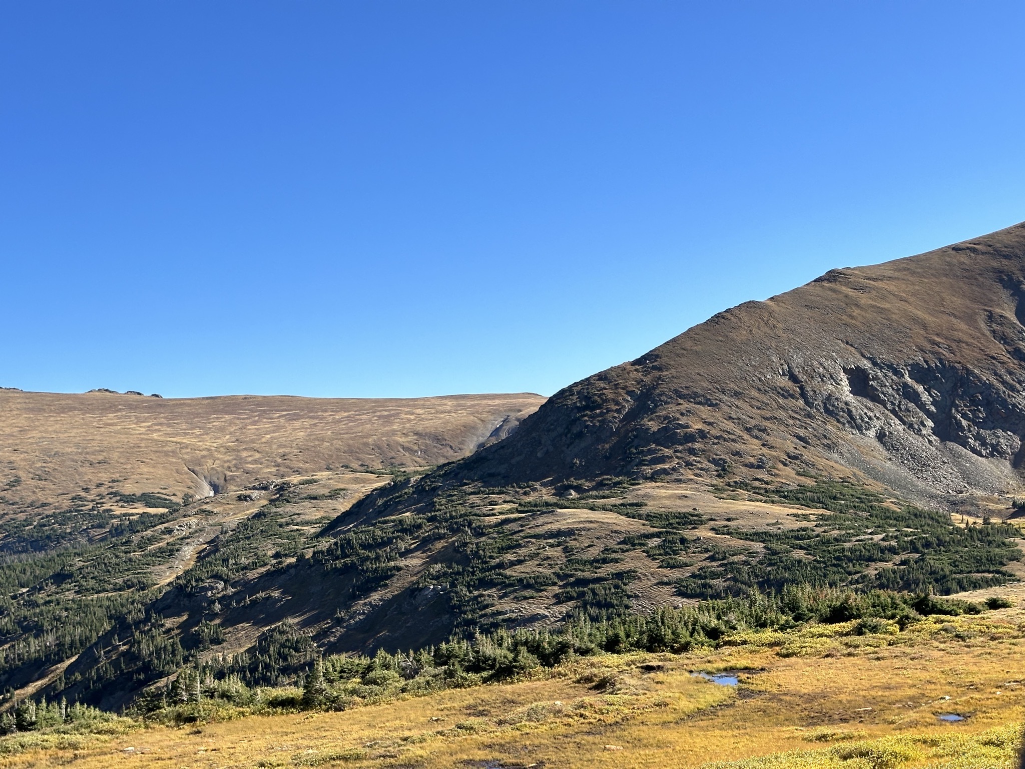 Old Fall River Road