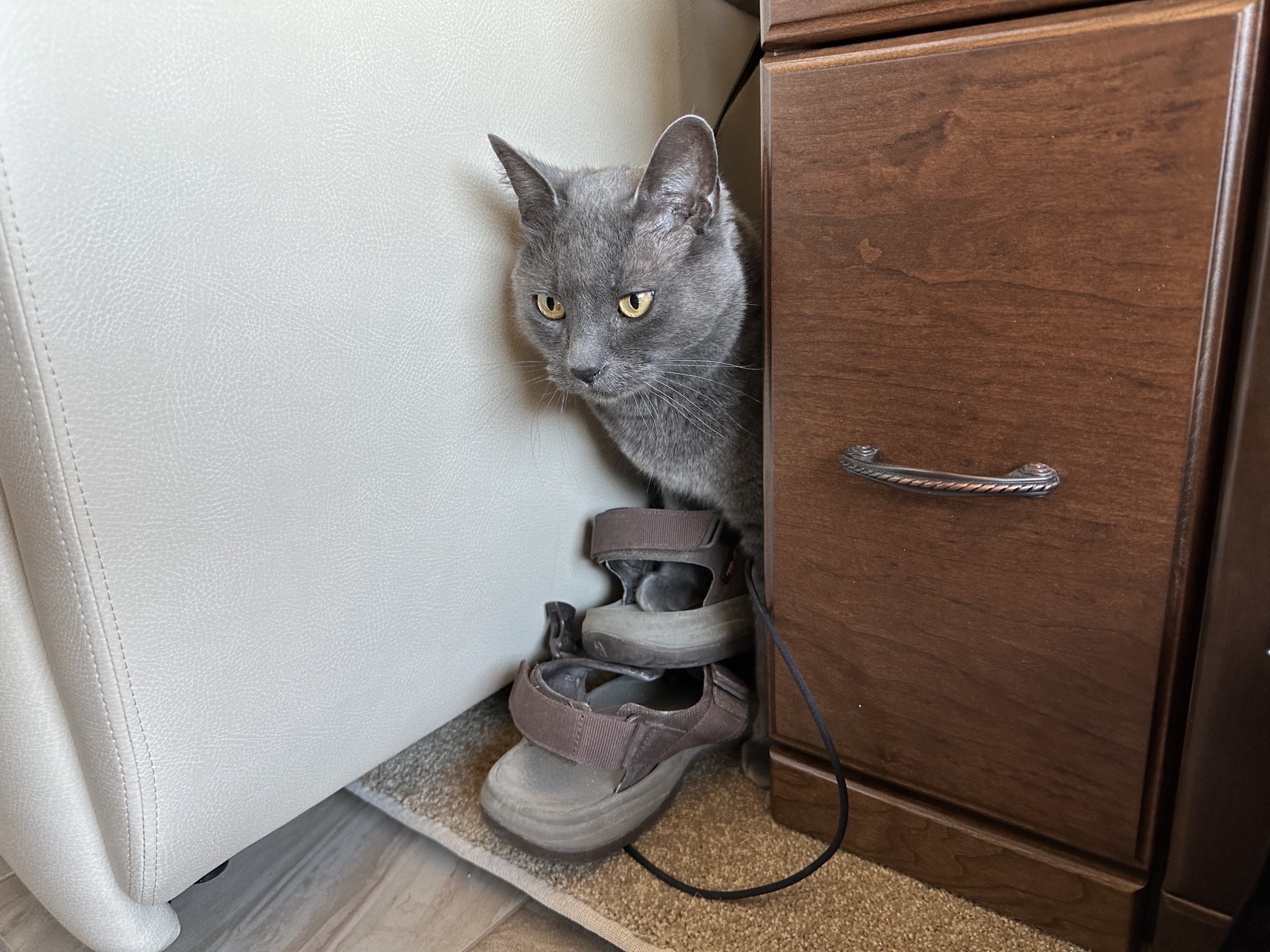 Paladin emerging from behind couch