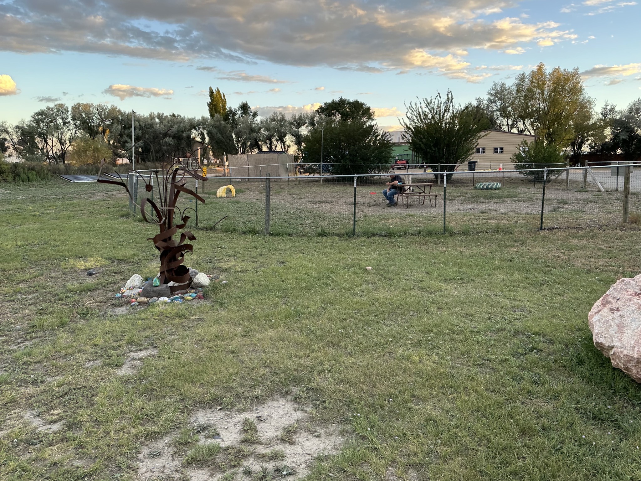 Dog park