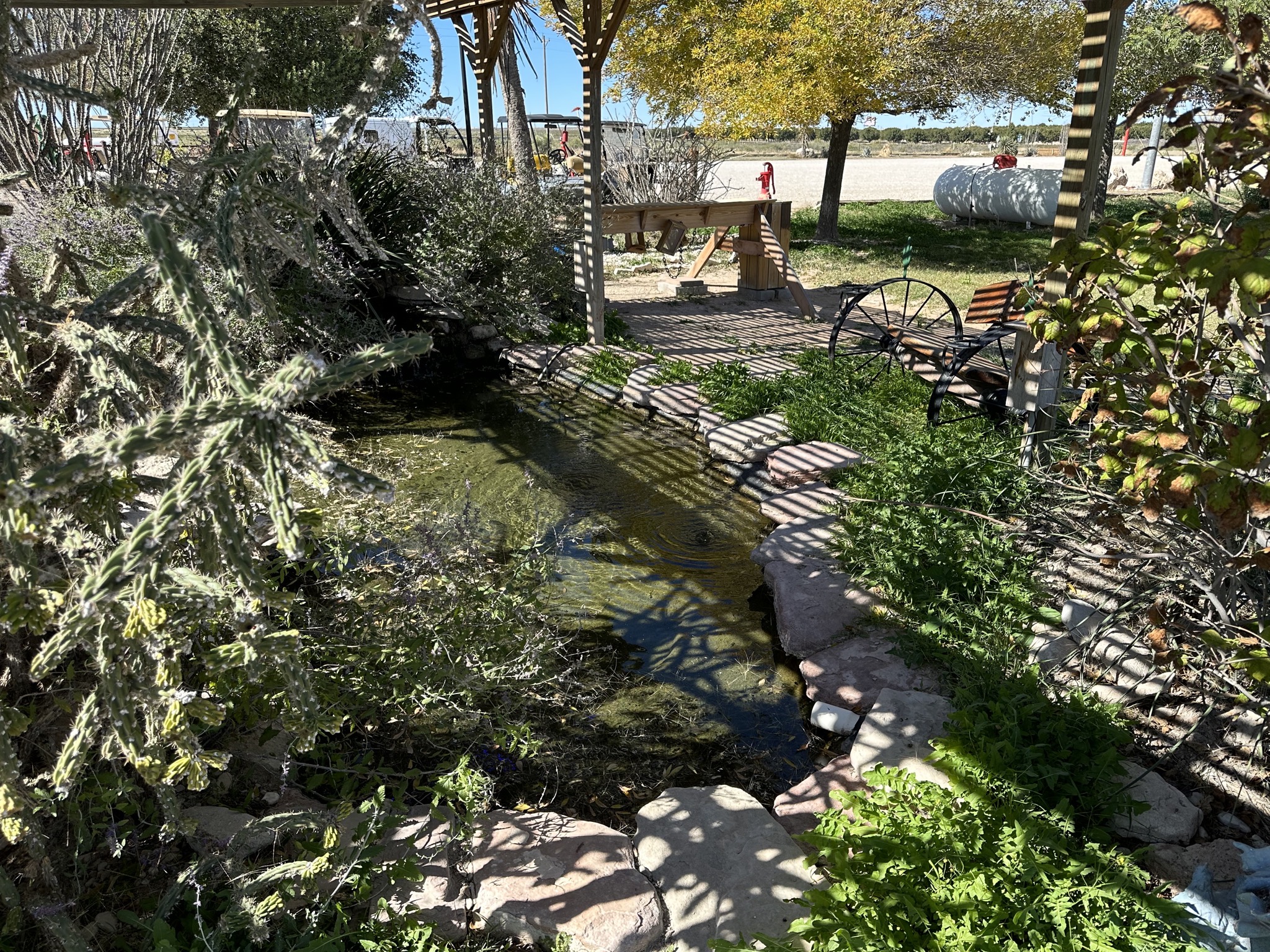 Pond