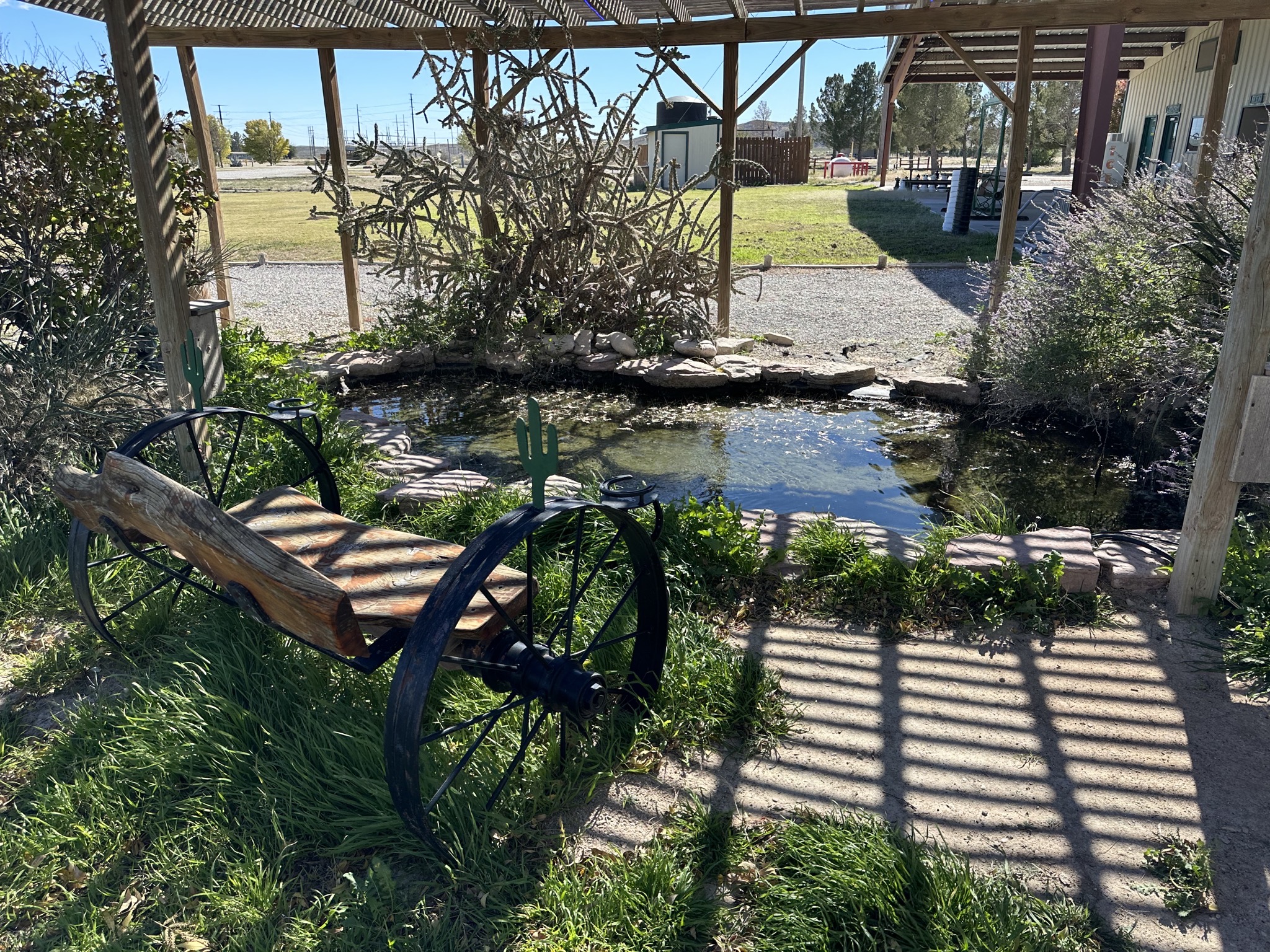 Pond
