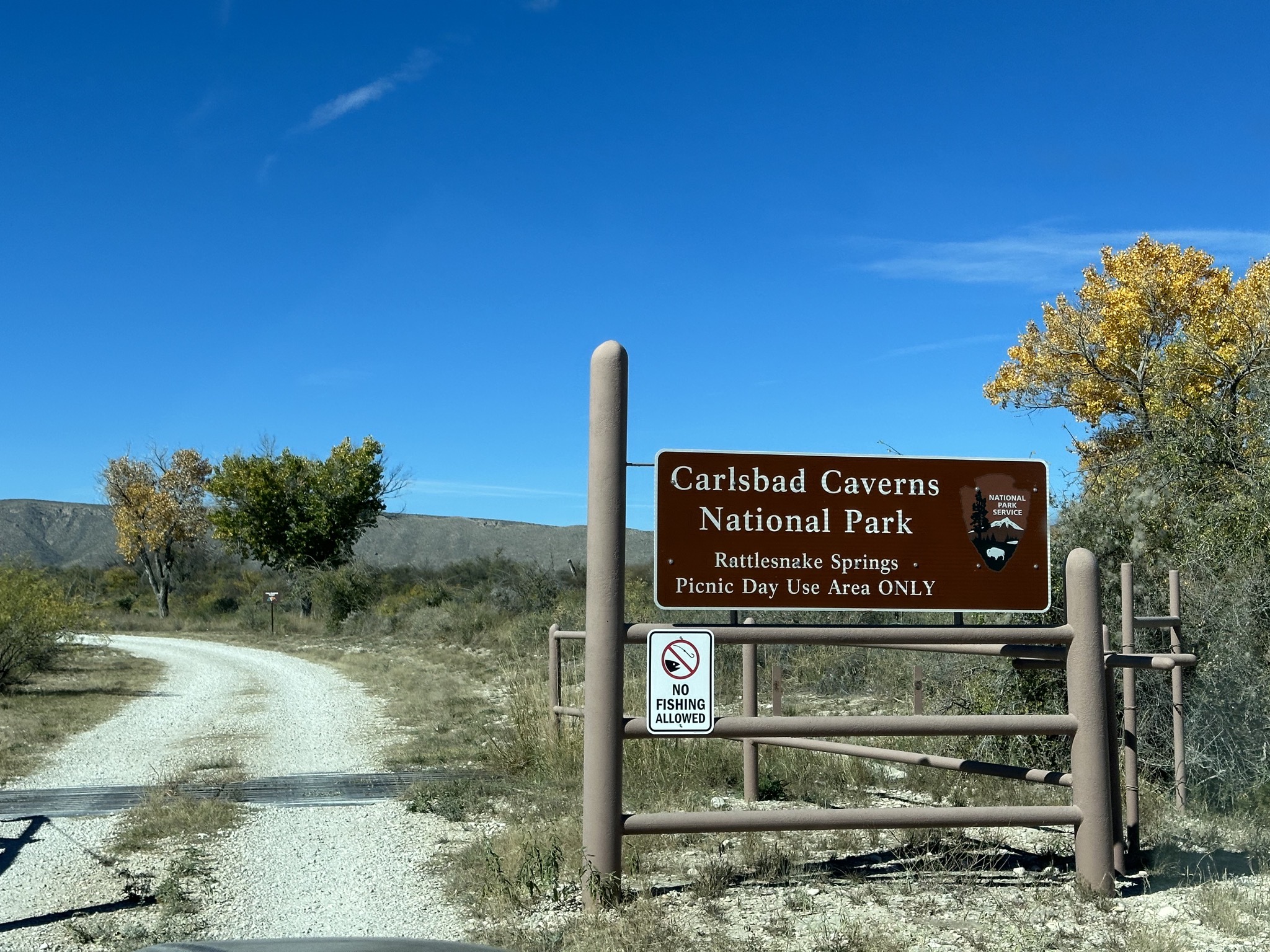 Rattlesnake Springs Picnic Area