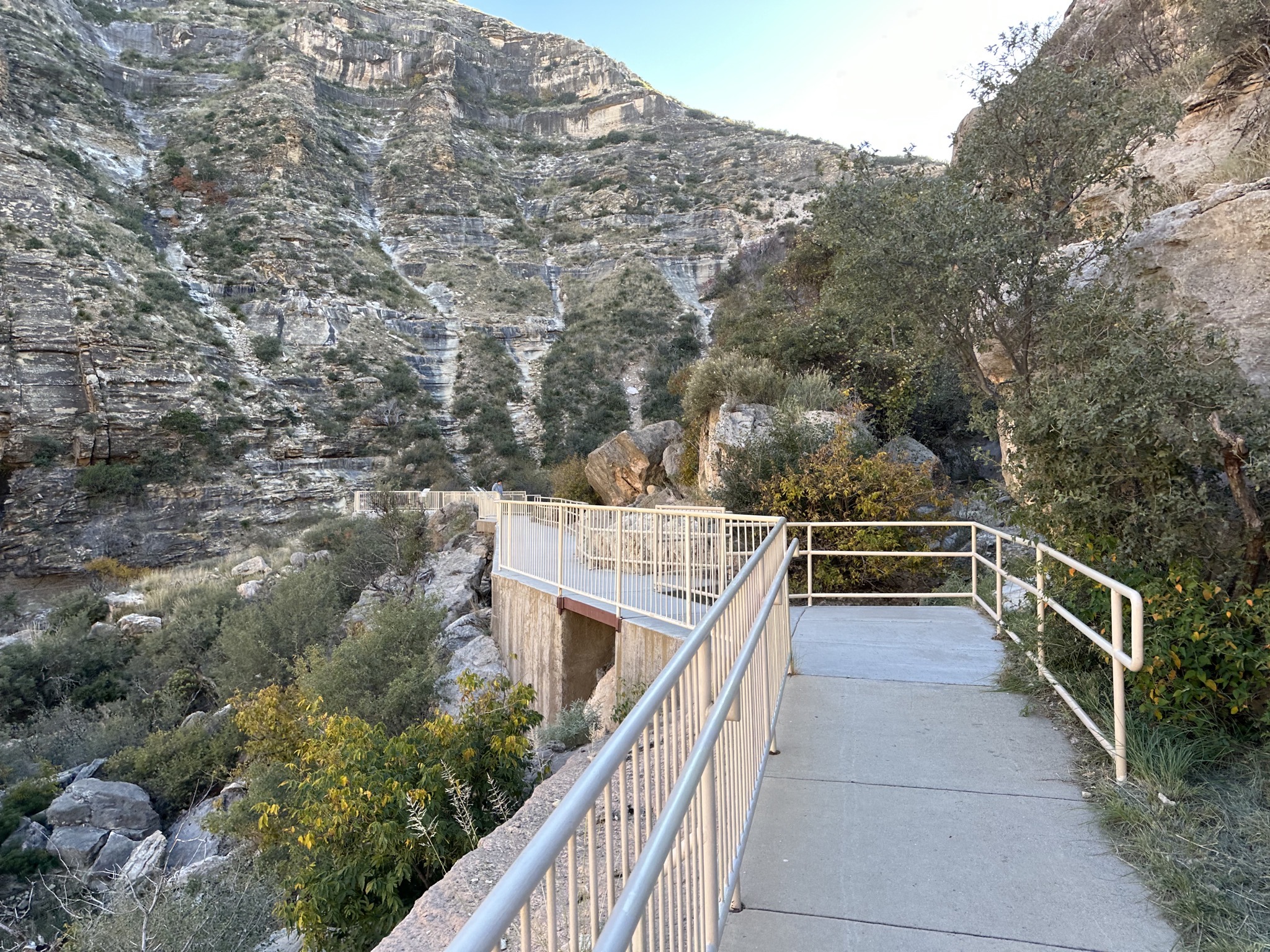 Path
