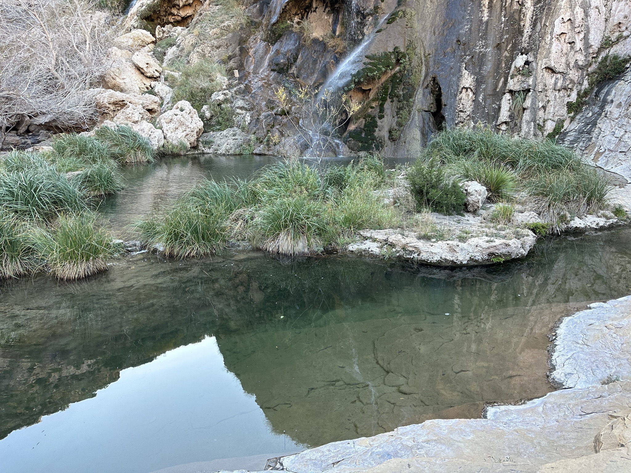 Falls