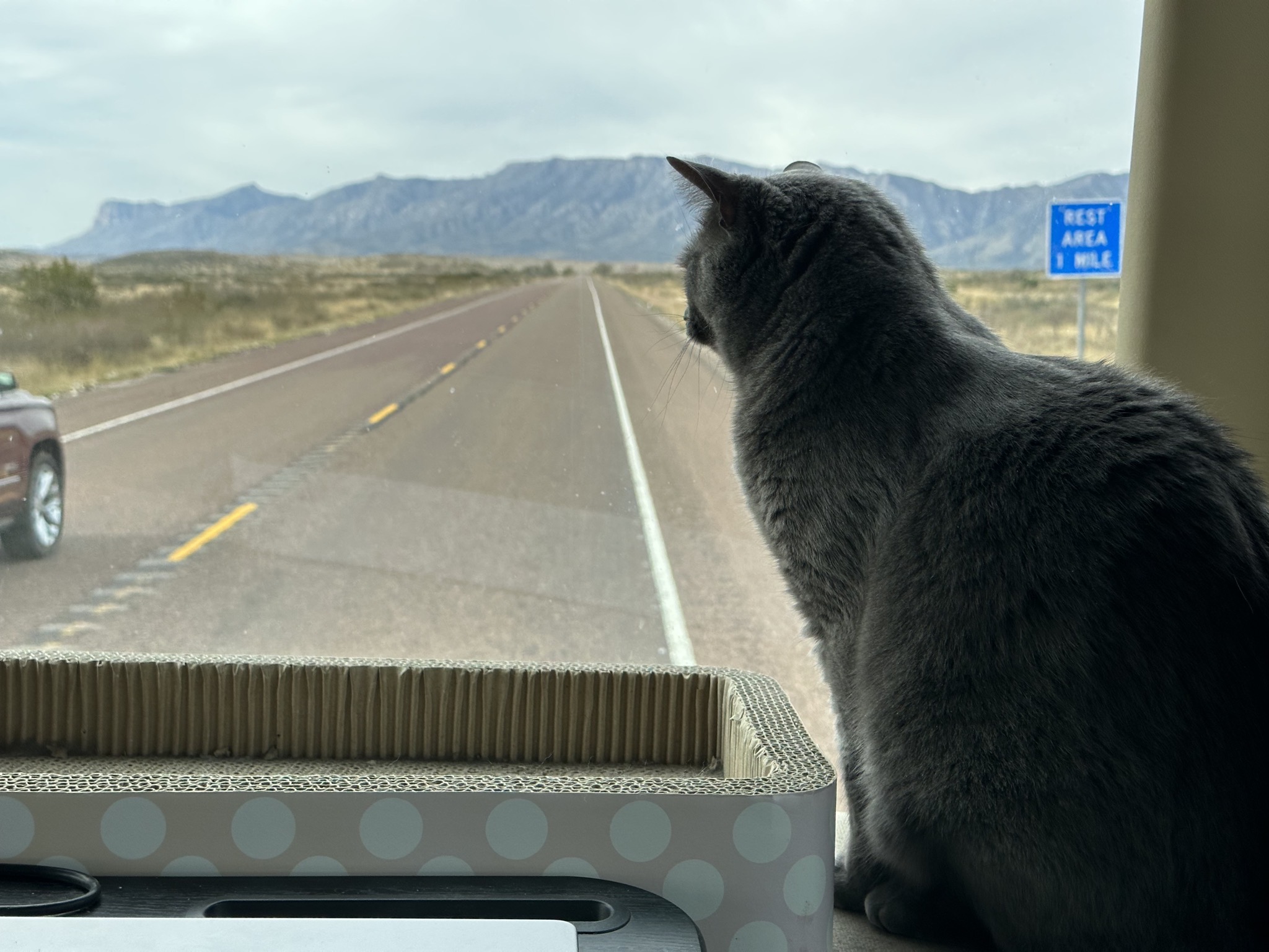 Paladin on the dash approaching a rest area