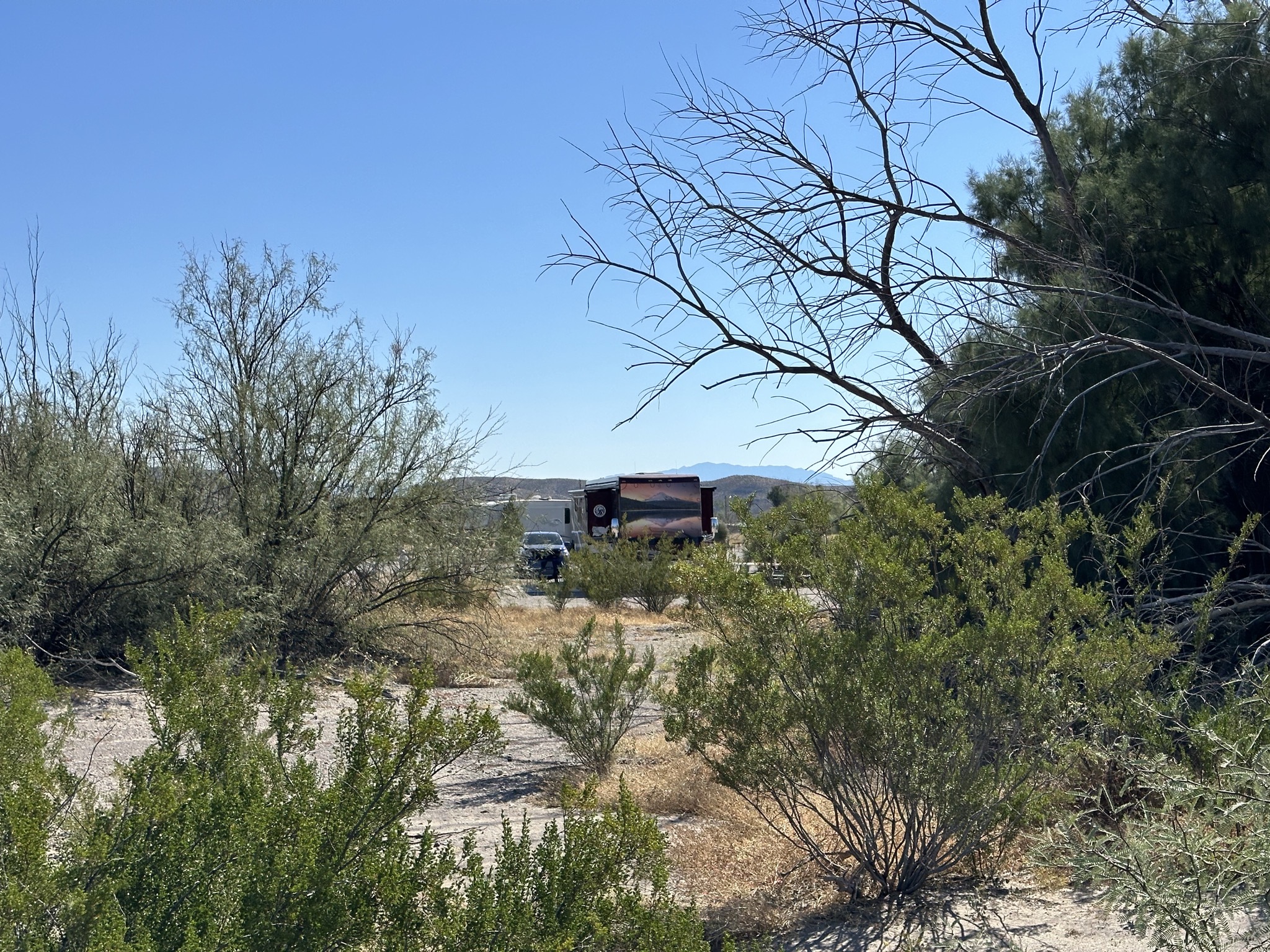 Wilderness opposite our coach