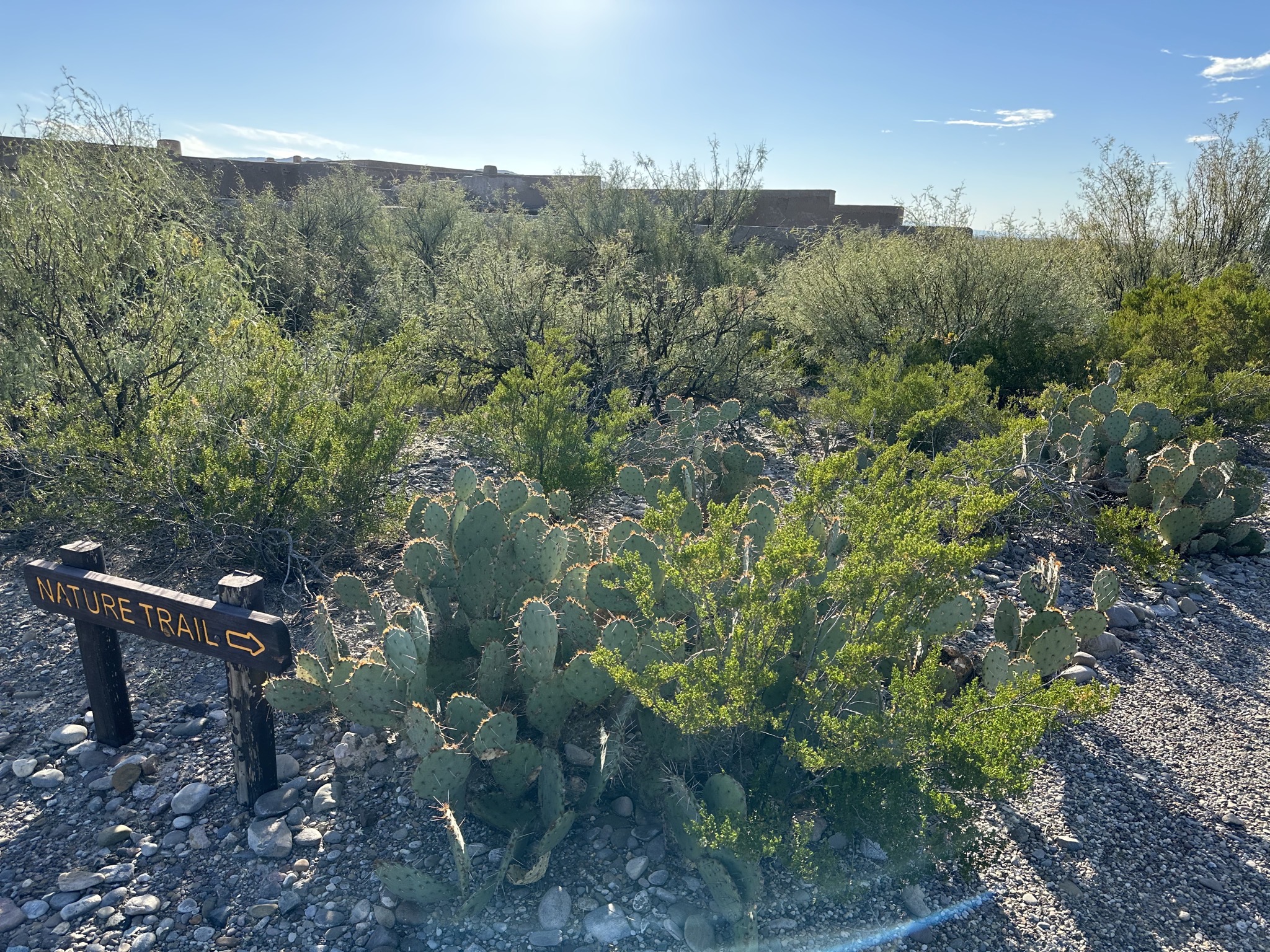 Nature trail