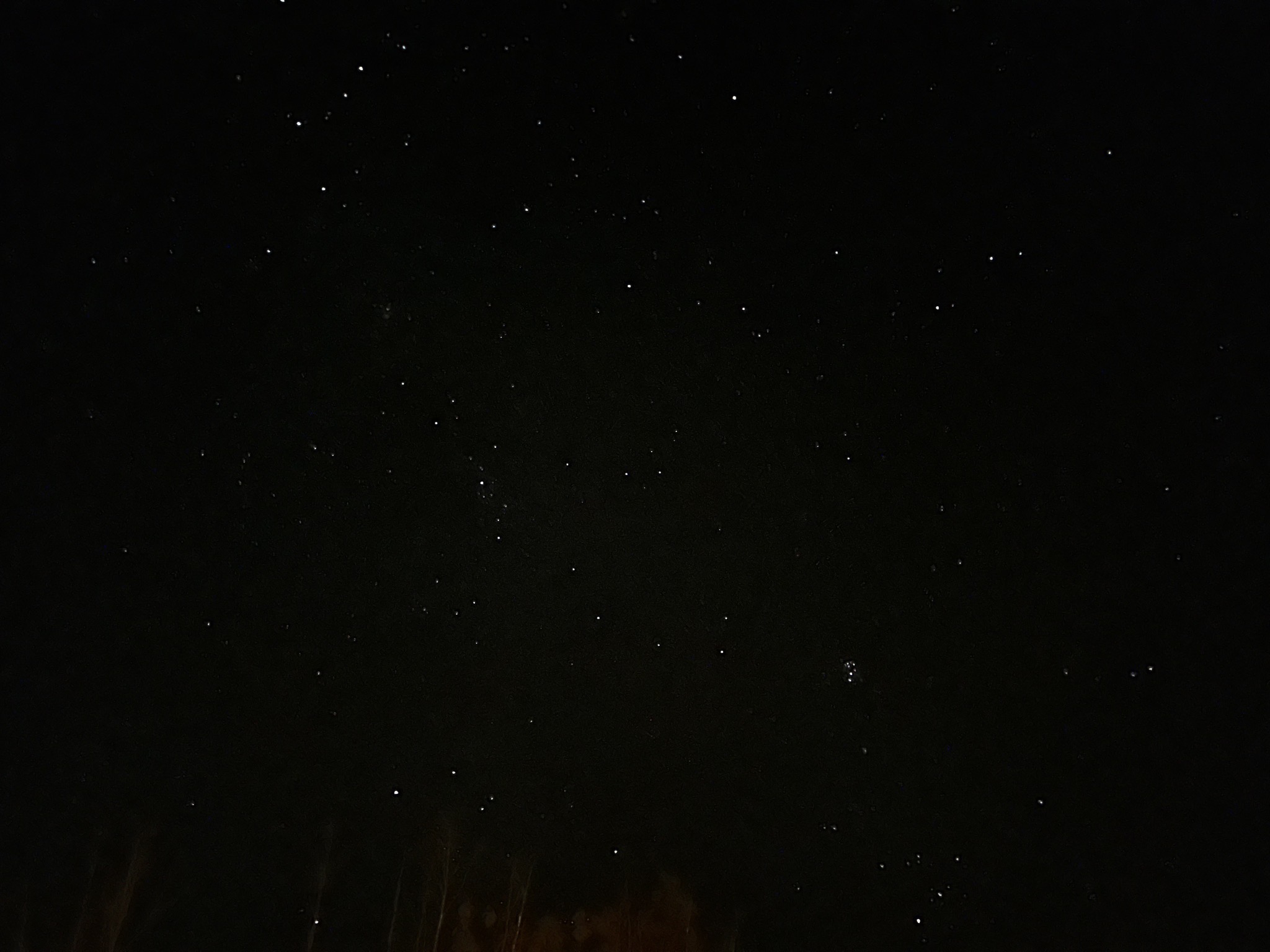 Stars