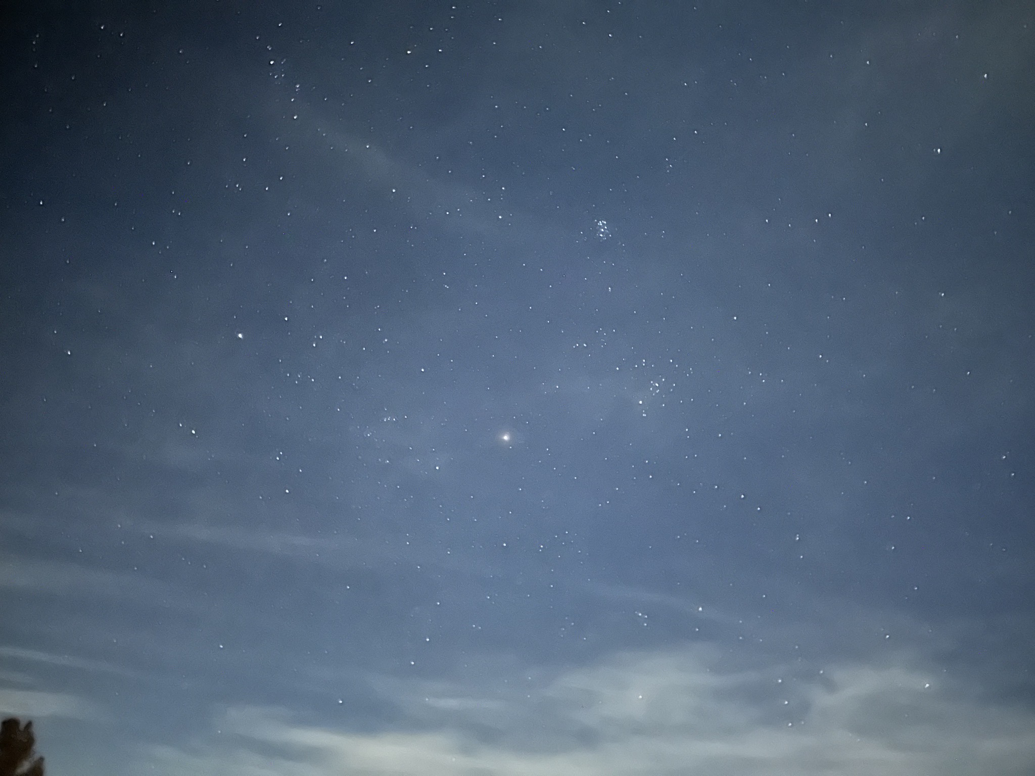 Stars