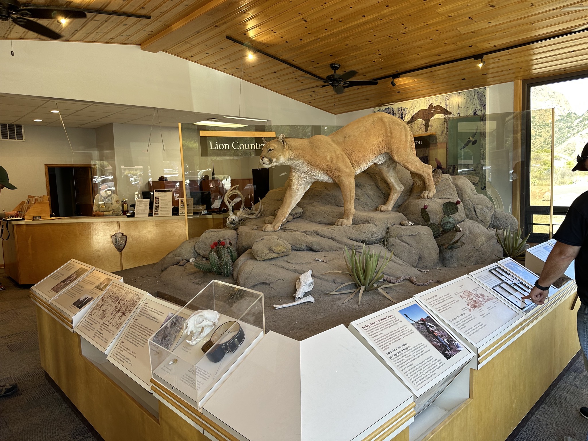 Chisos Basin Visitor Center