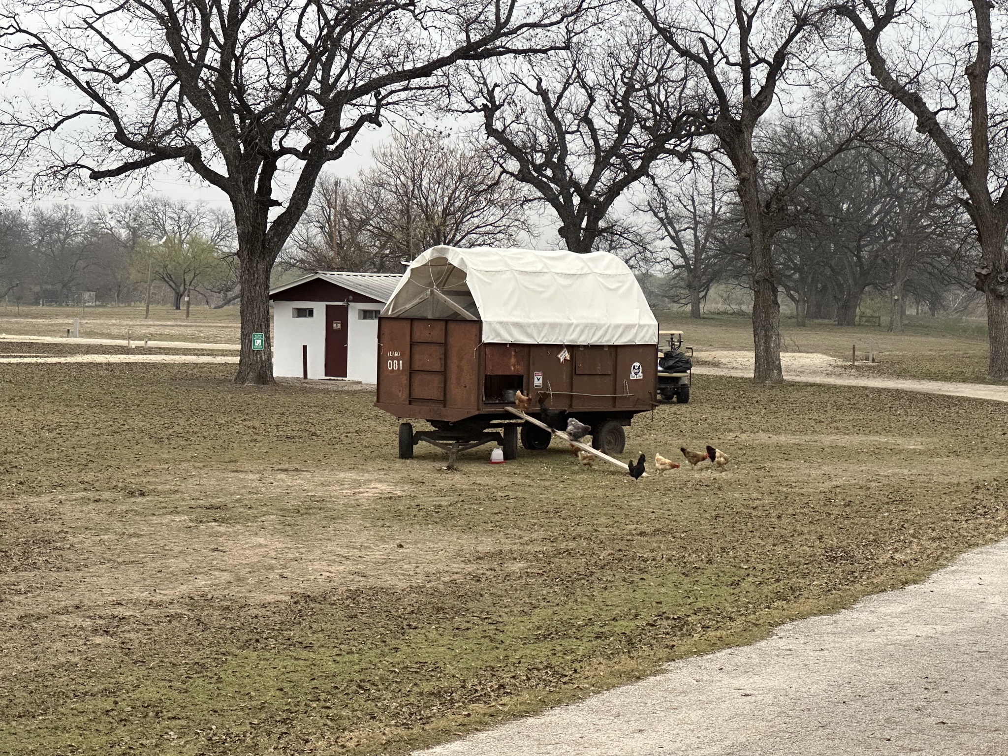 Opening chicken coop