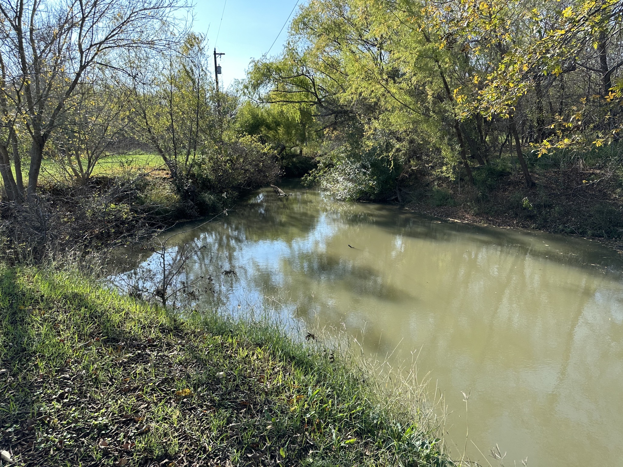 Stream