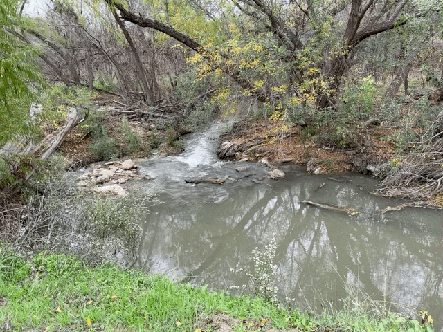 Stream