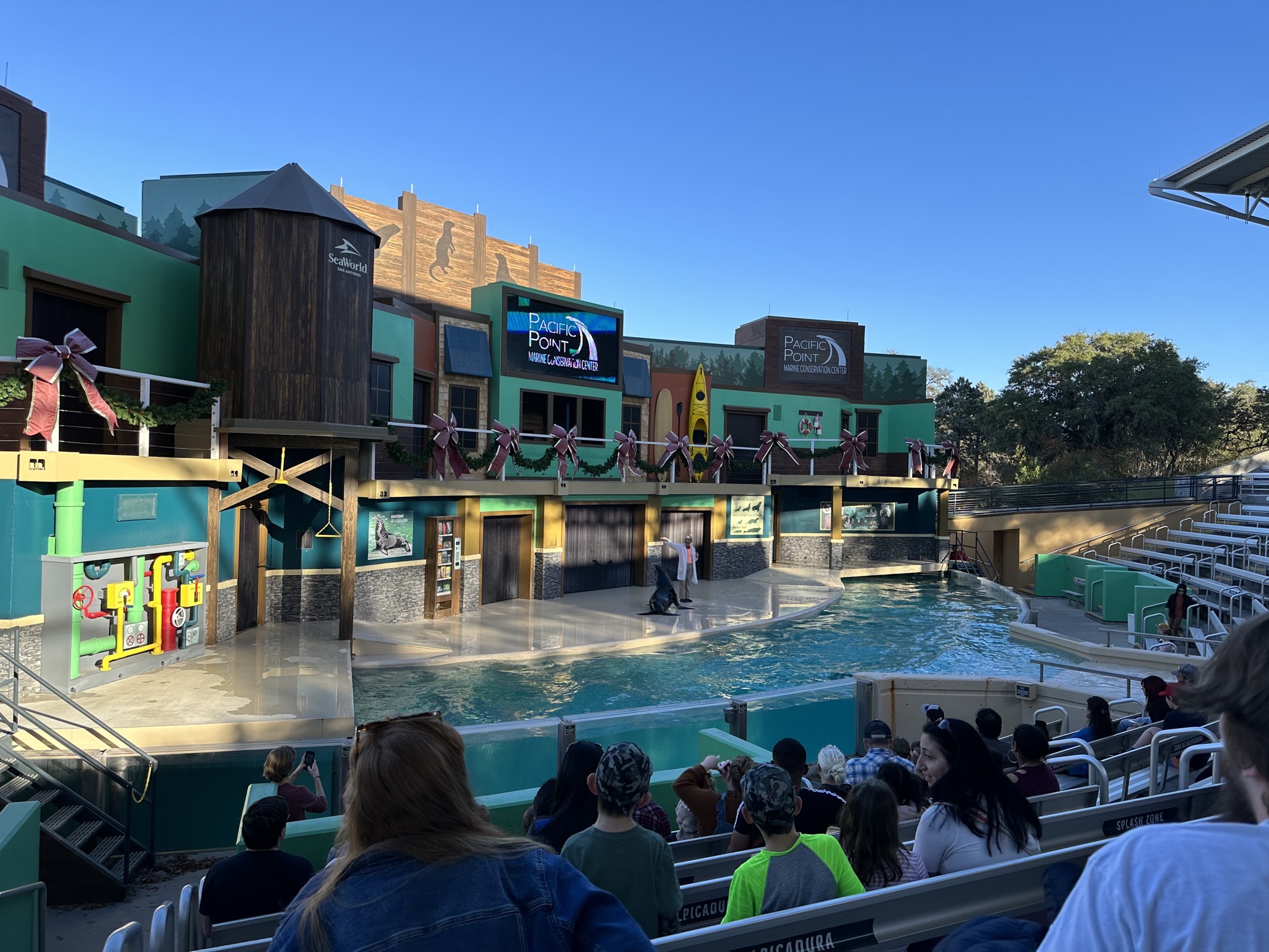Sea lion show