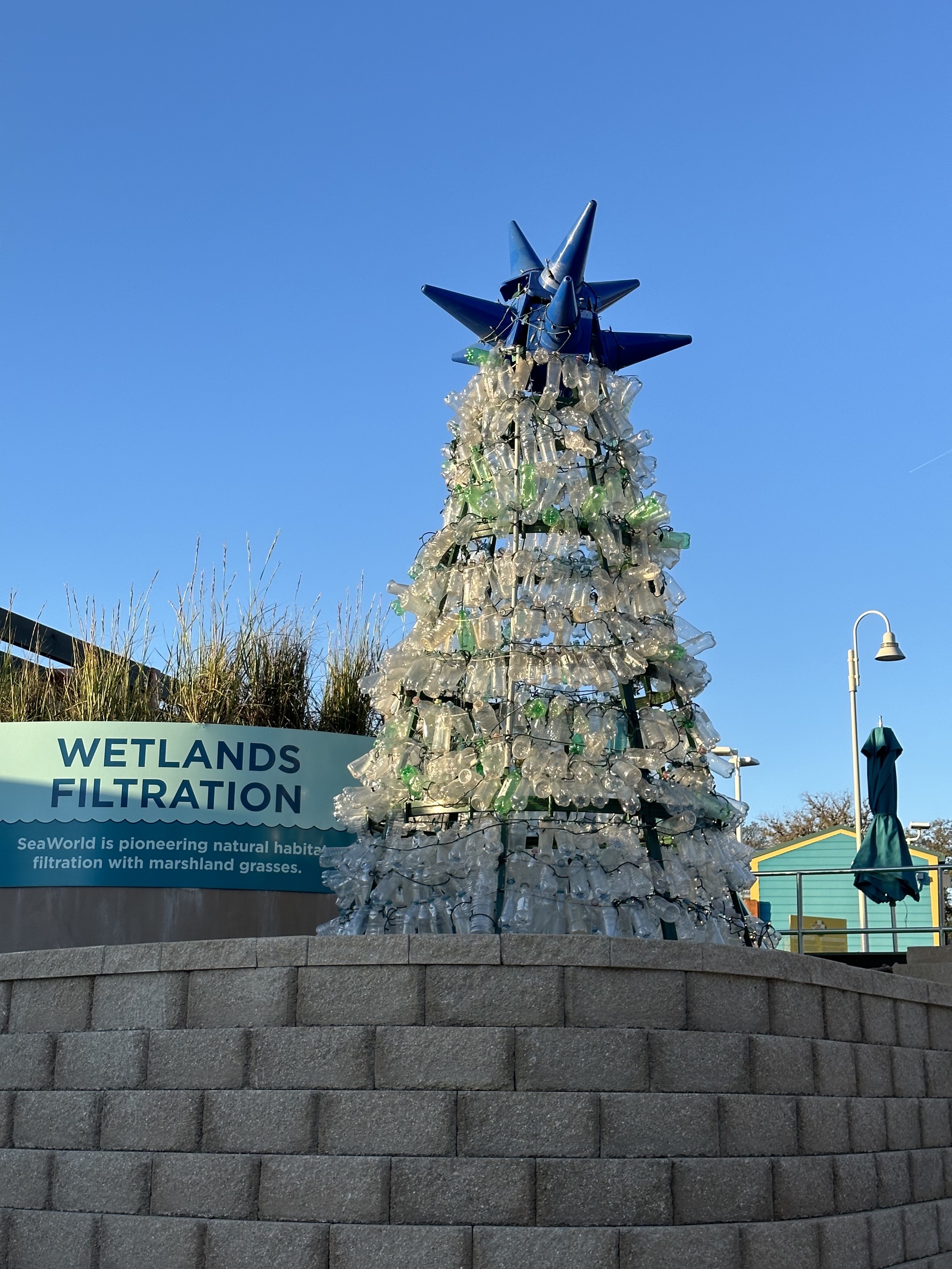 Plastic bottle tree