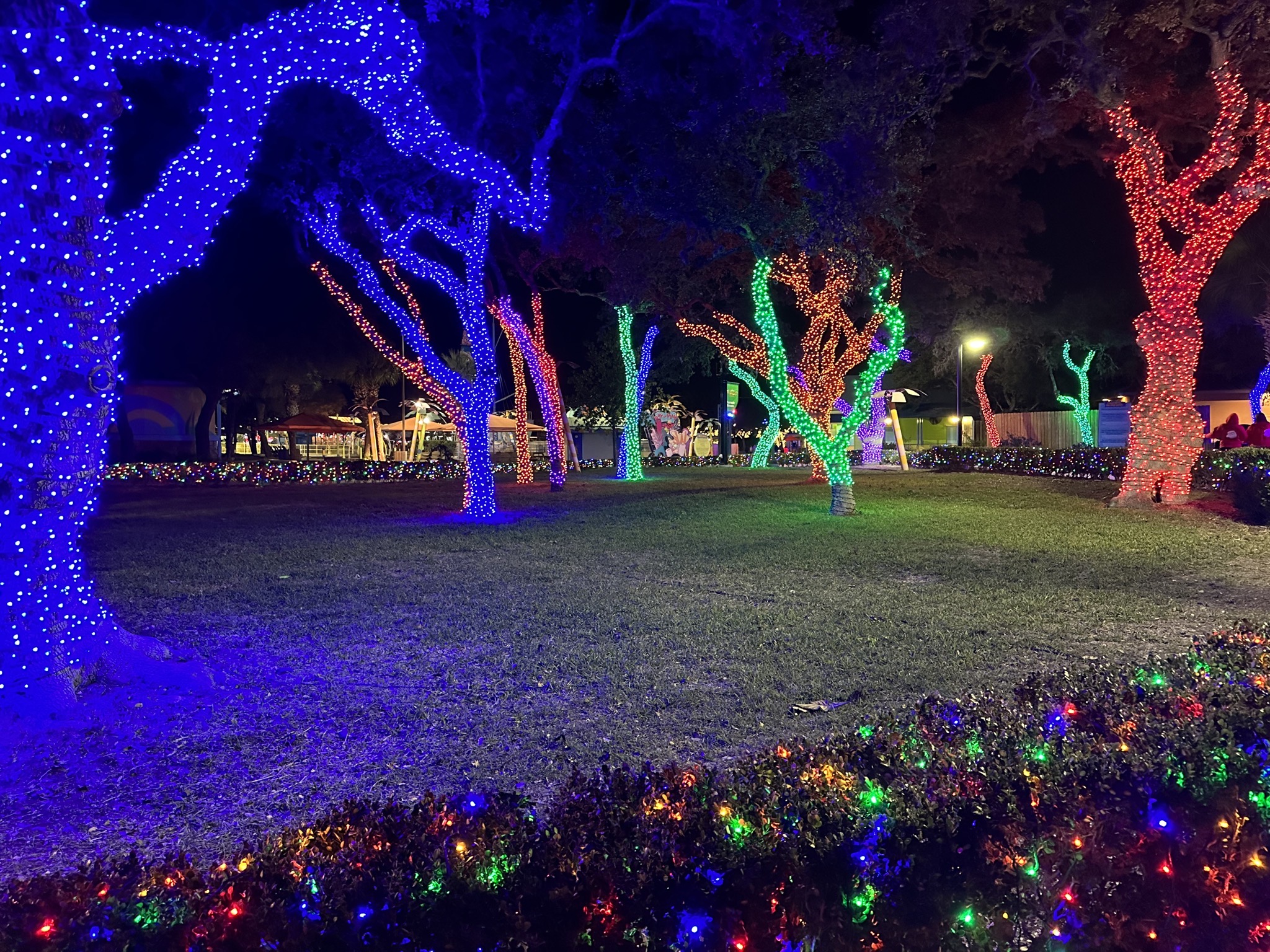 Lights