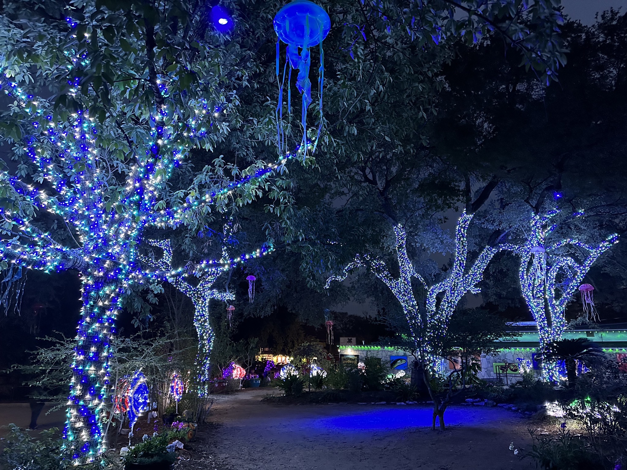 Holiday lights
