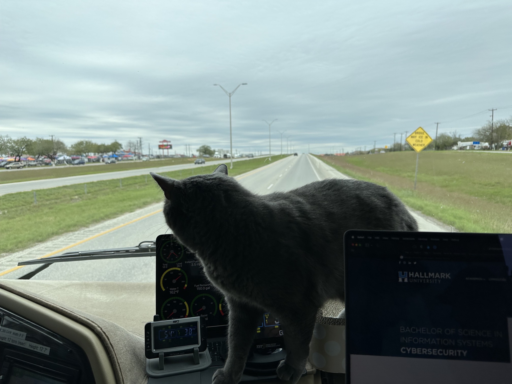 Paladin on the dash