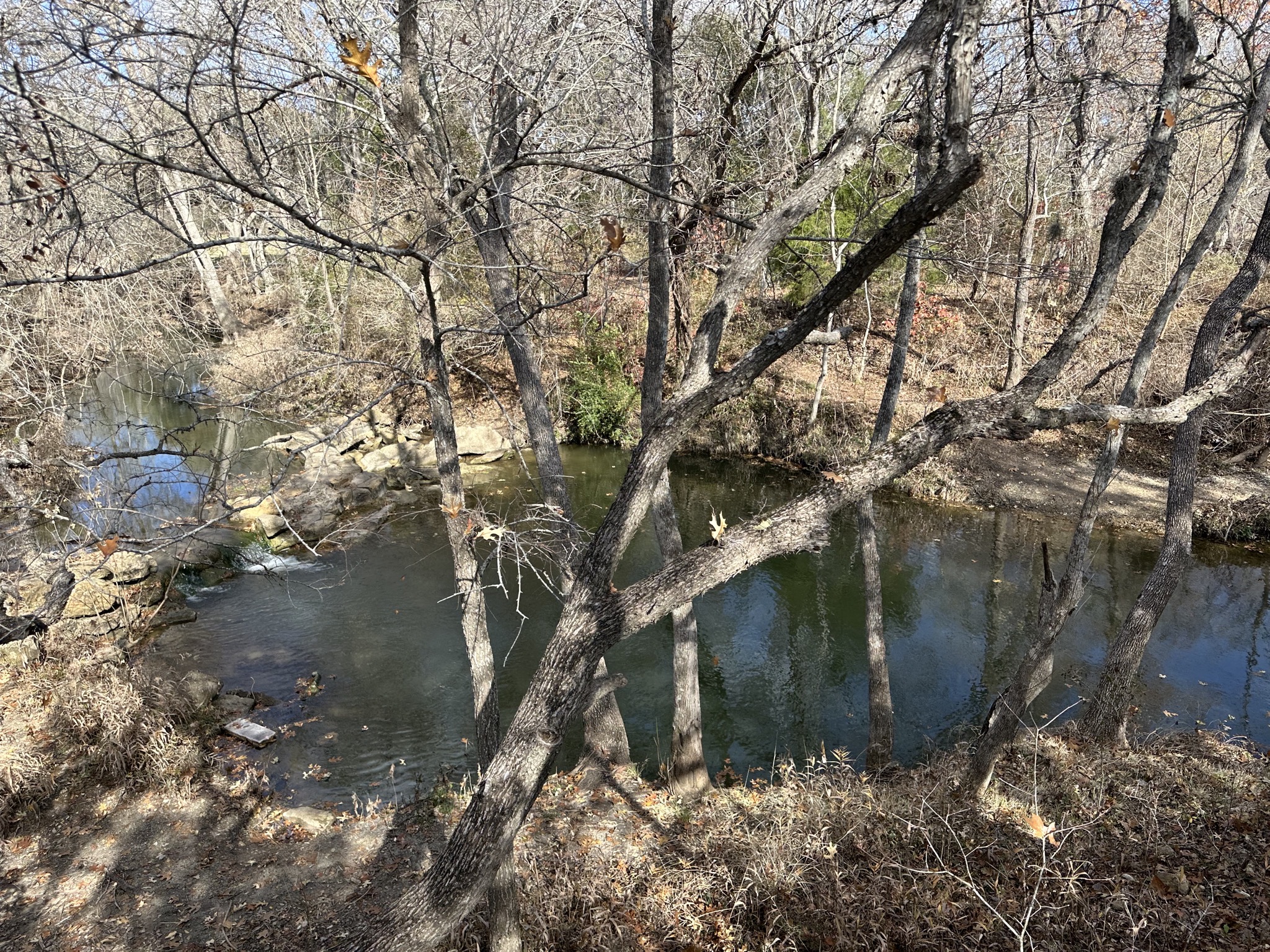 Clear Fork Creek
