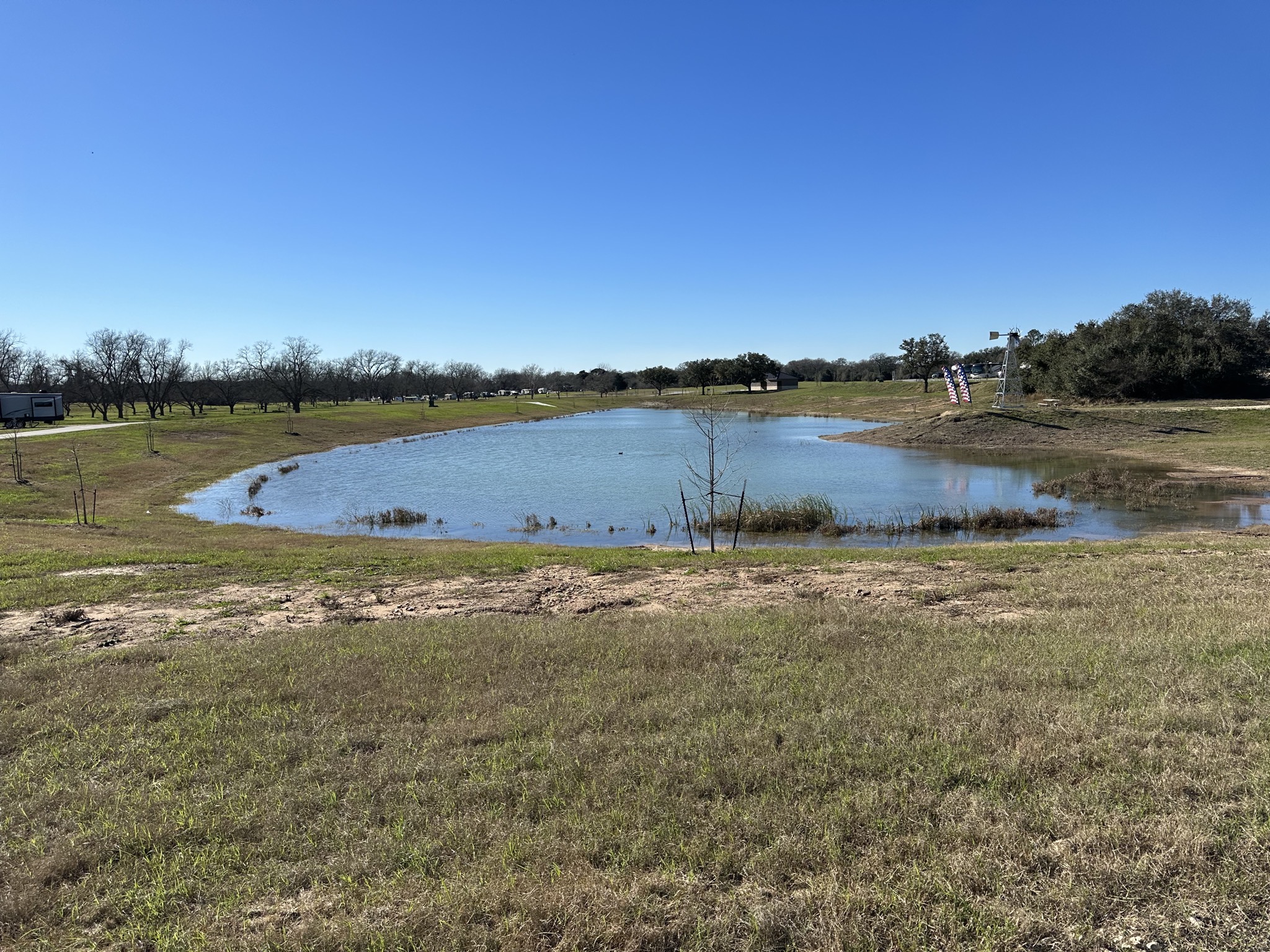 Pond