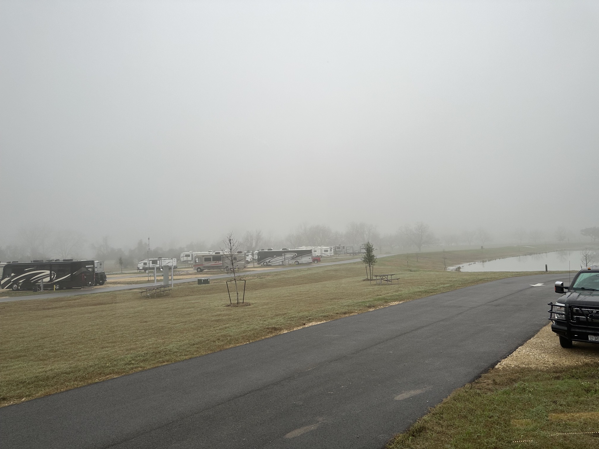 Fog