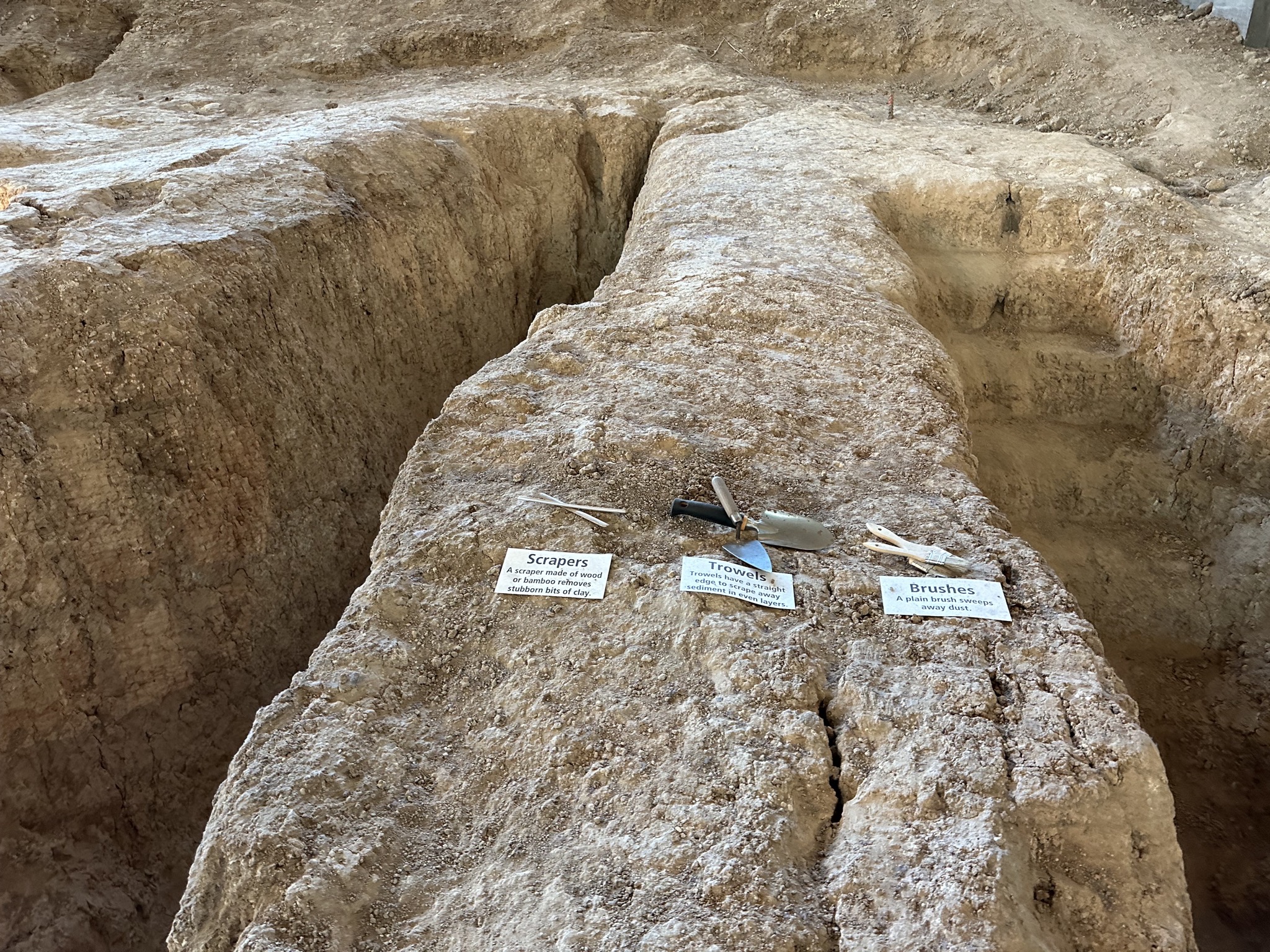 Fossils