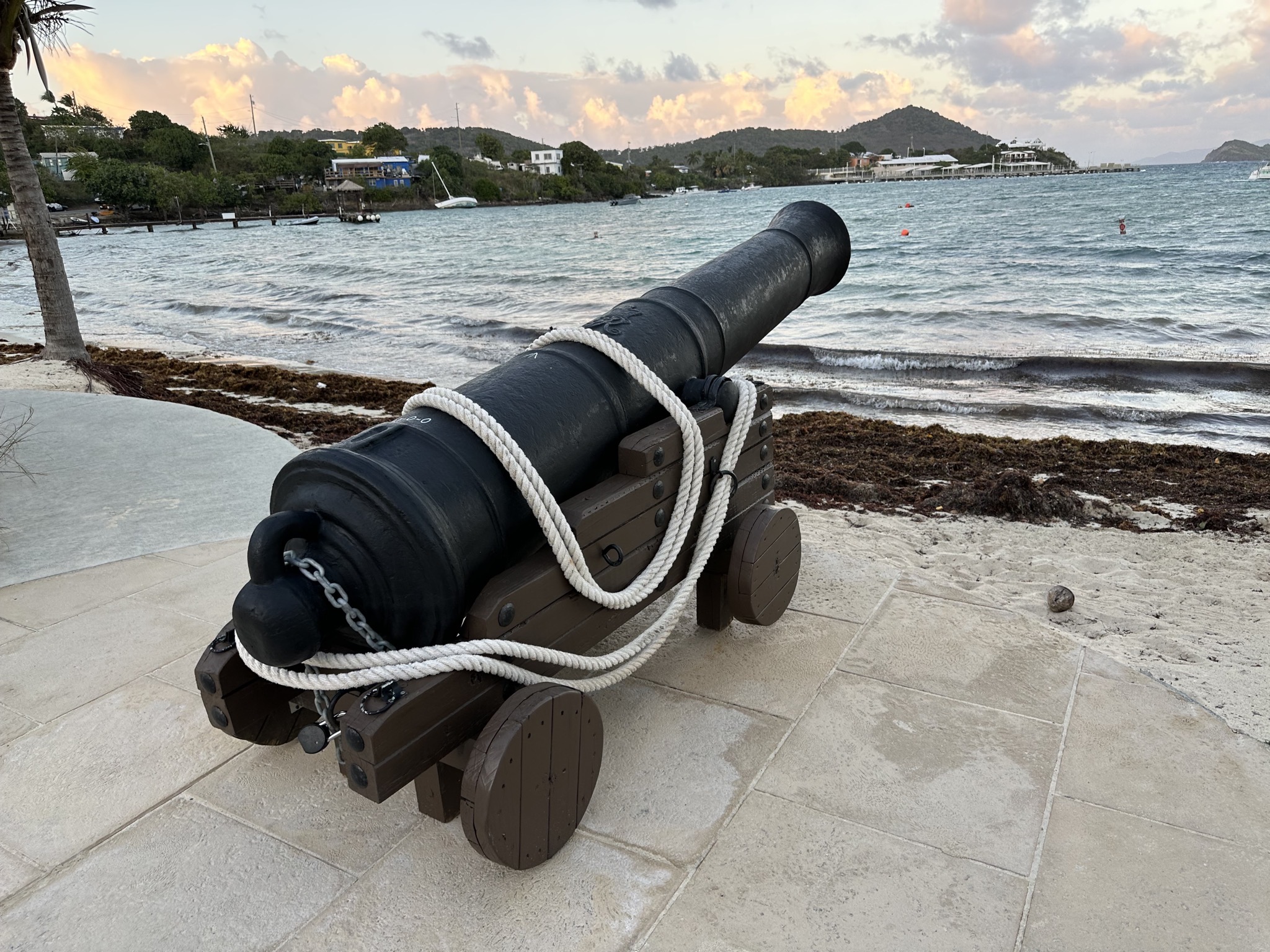 Cannon