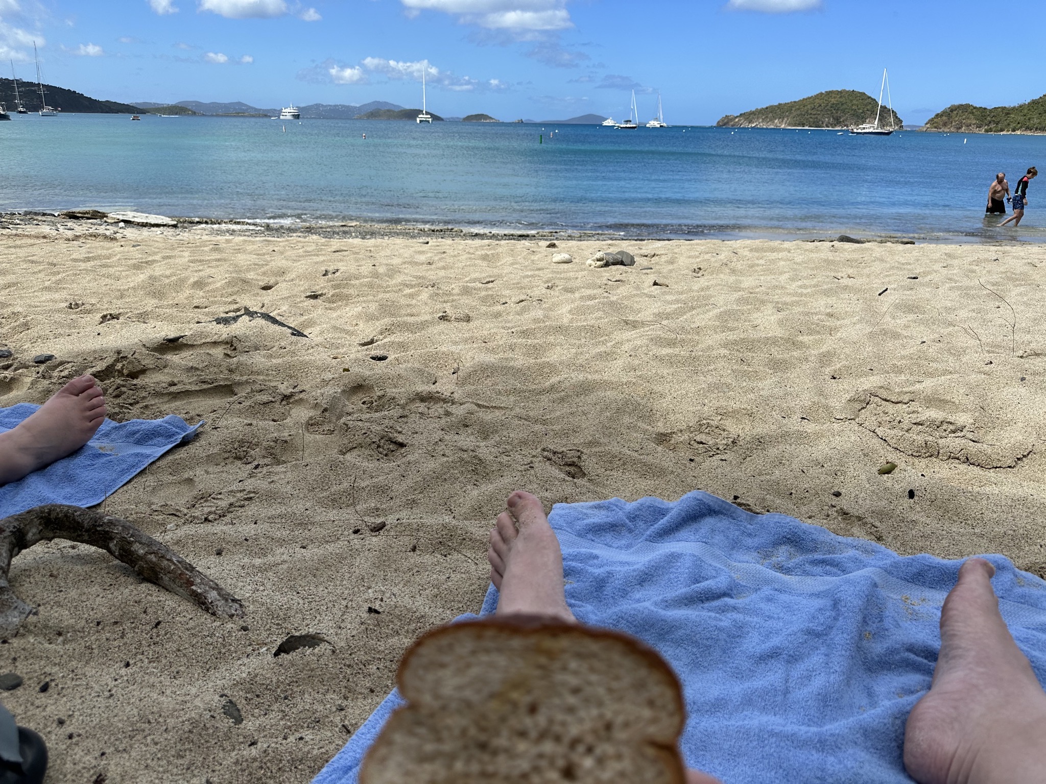 Picnic lunch