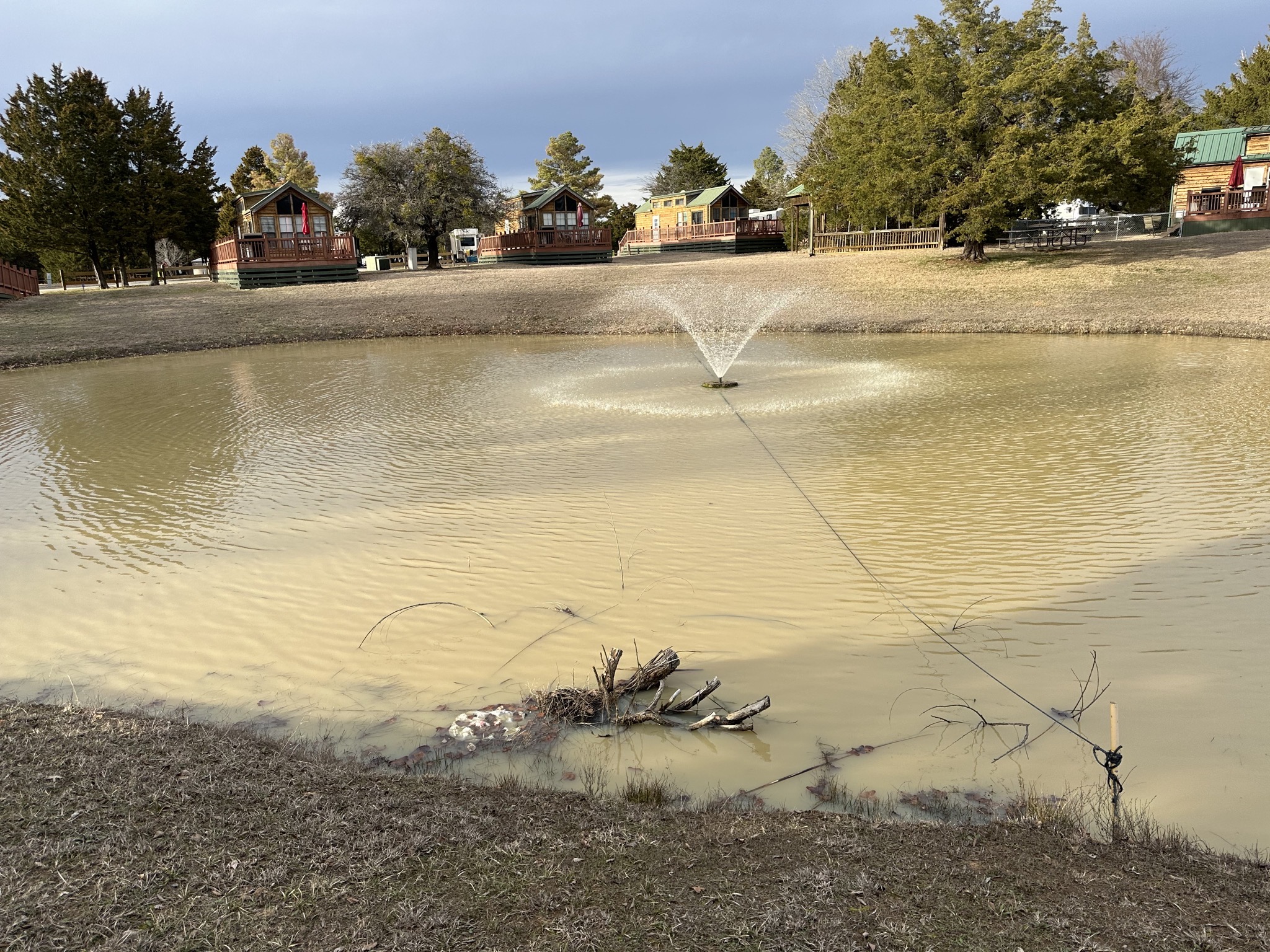 Pond