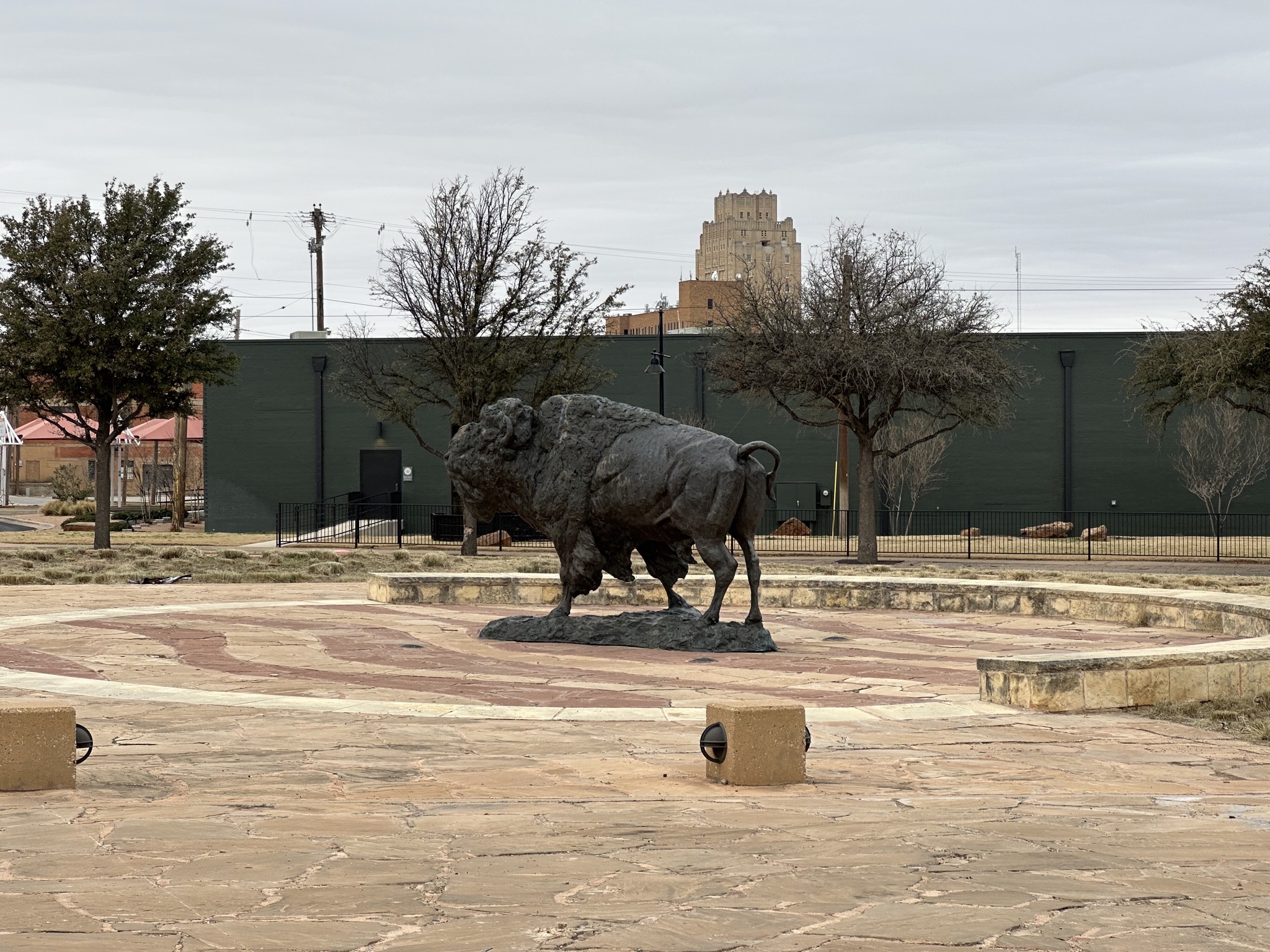 Buffalo