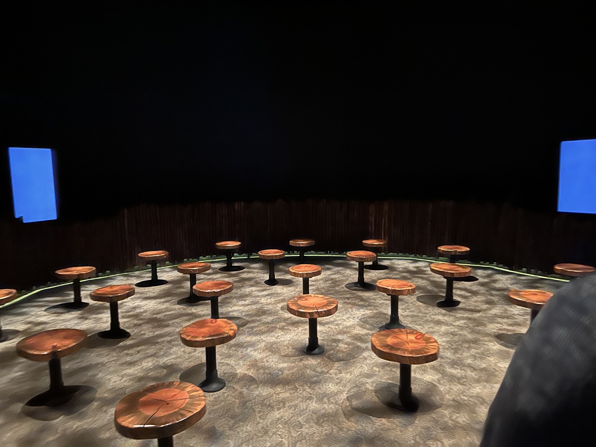 Frontier Experience Theater