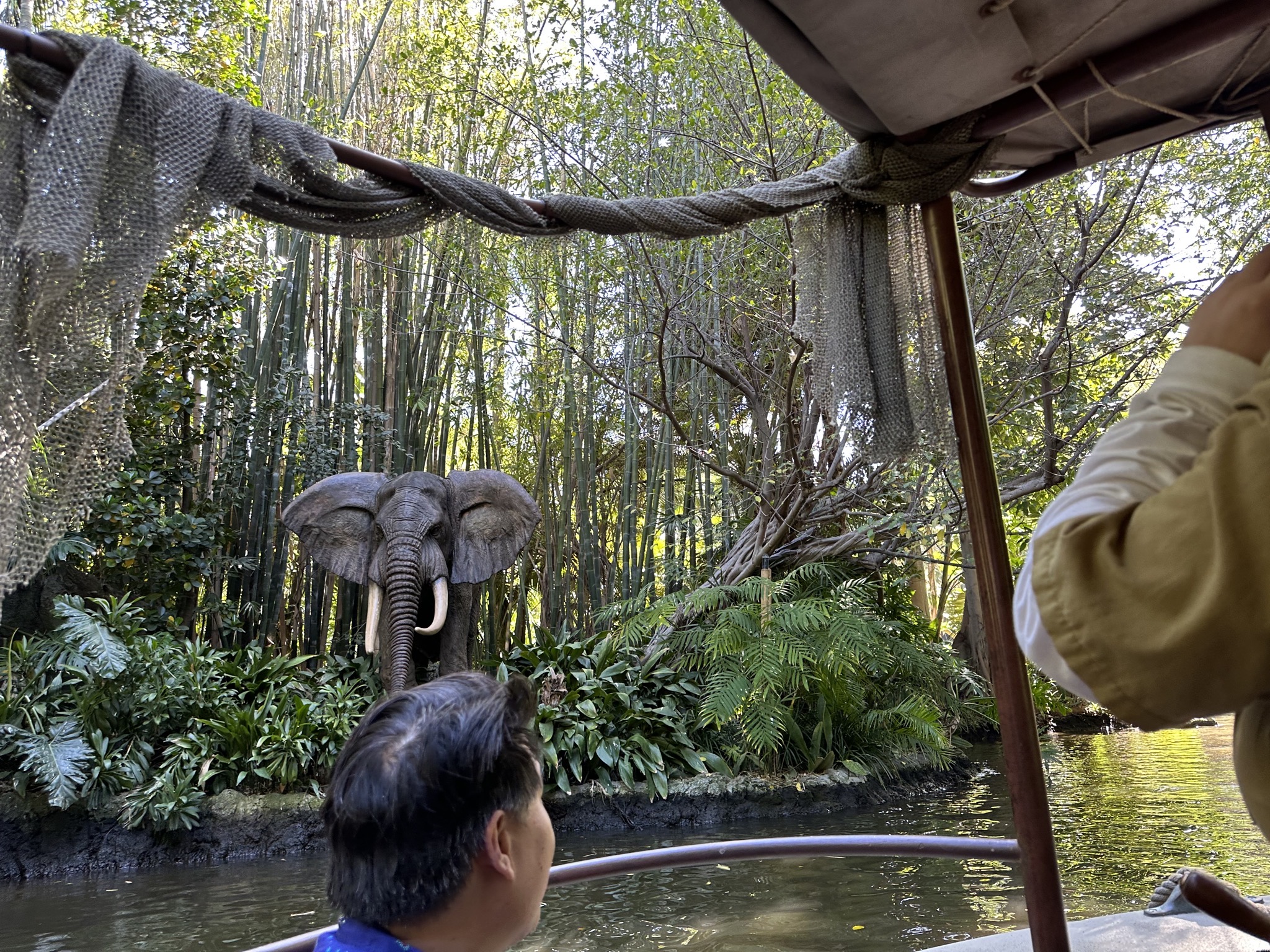 Jungle Cruise