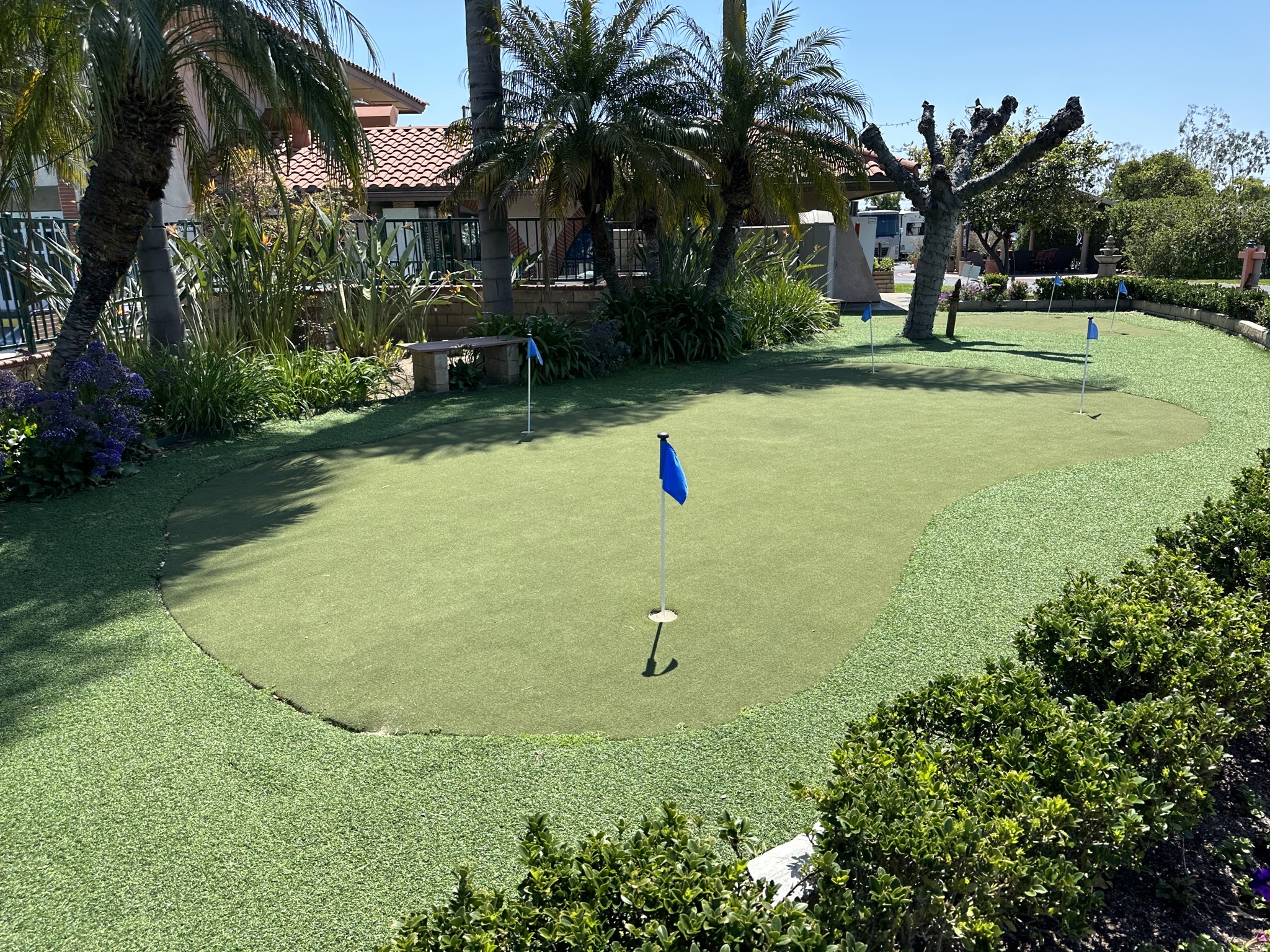 Putting area