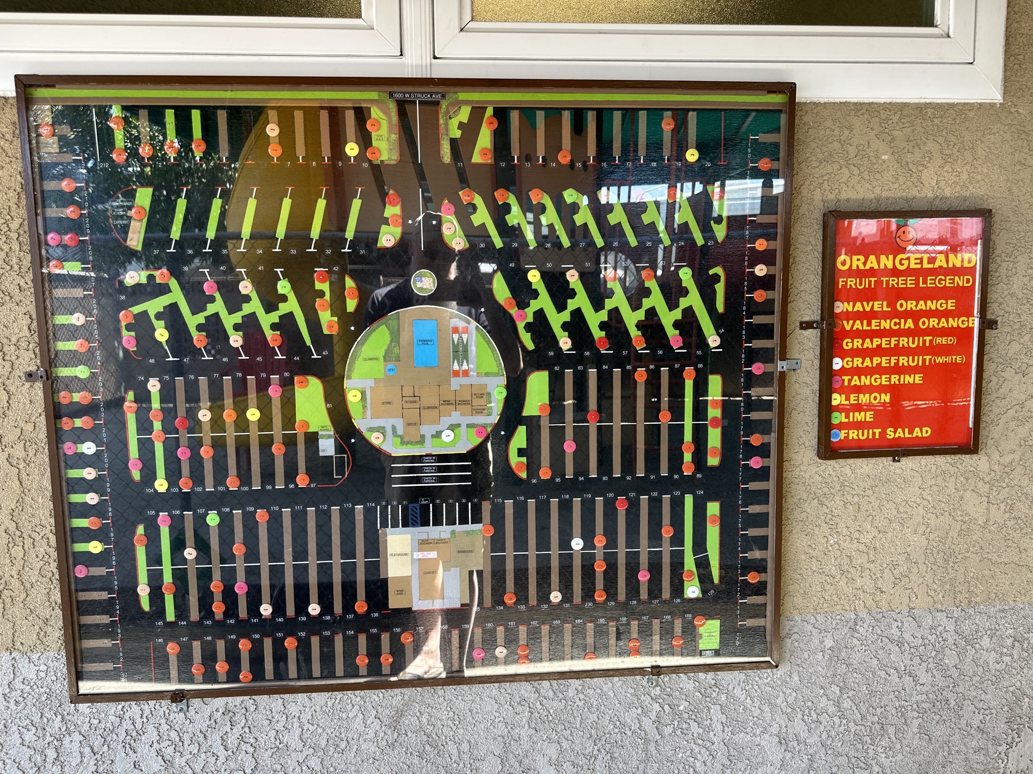 Fruit tree map