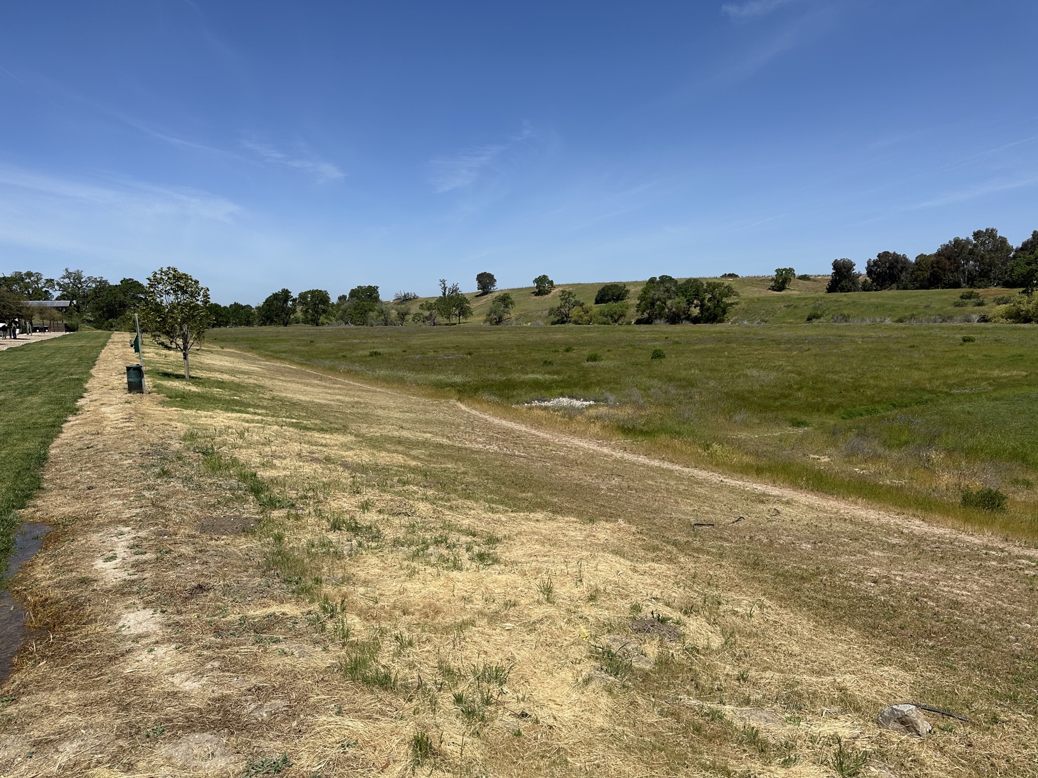 Open space behind site