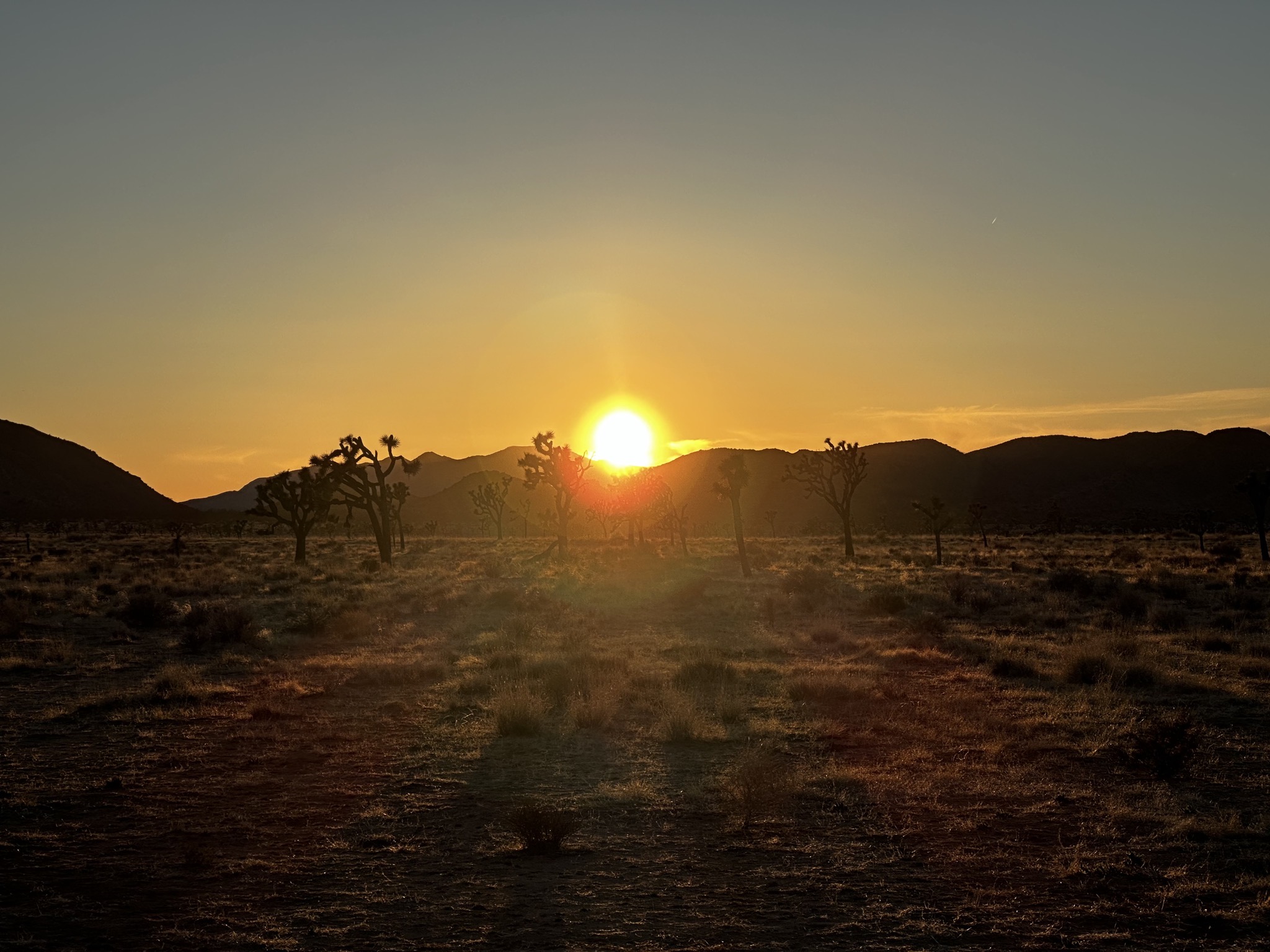 Sunset