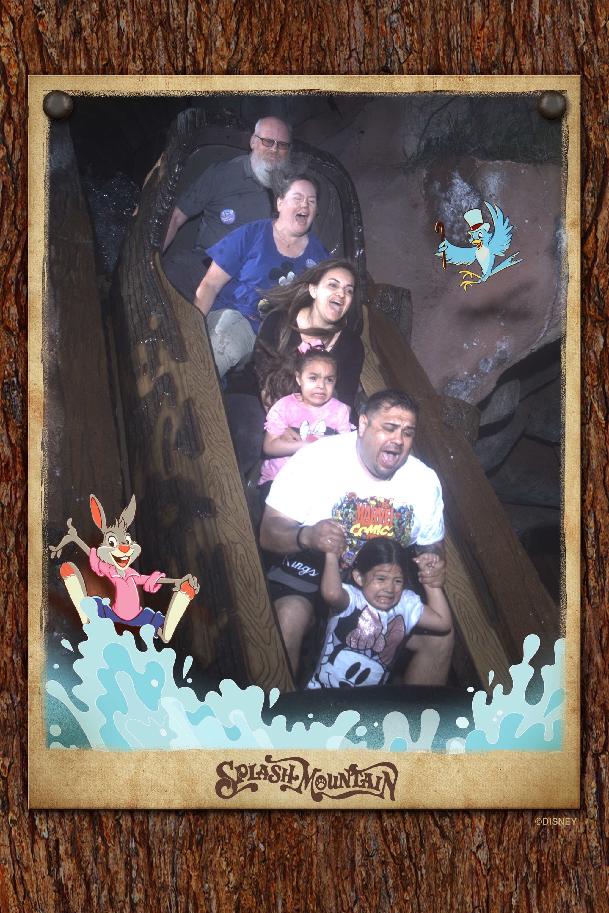Splash Mountain
