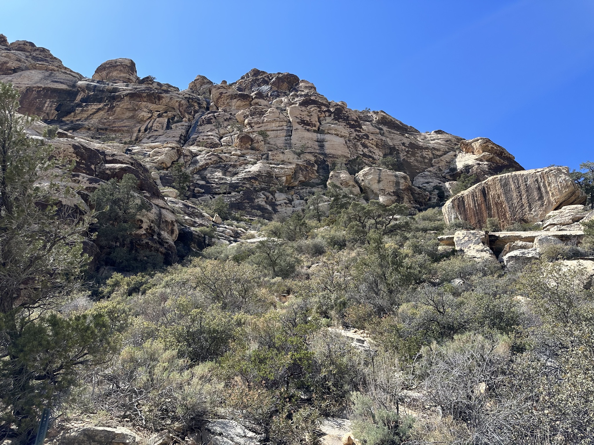 Red Rock Canyon