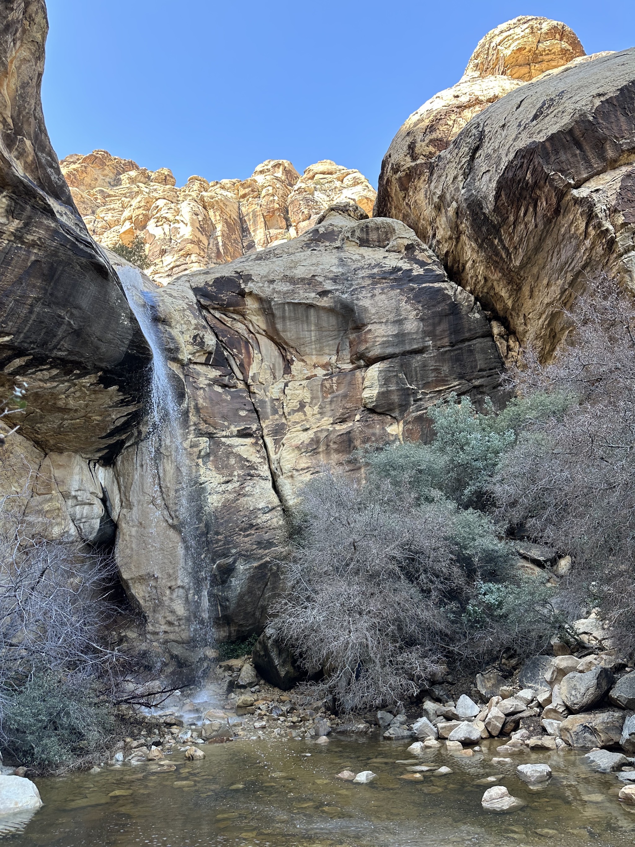 Red Rock Canyon