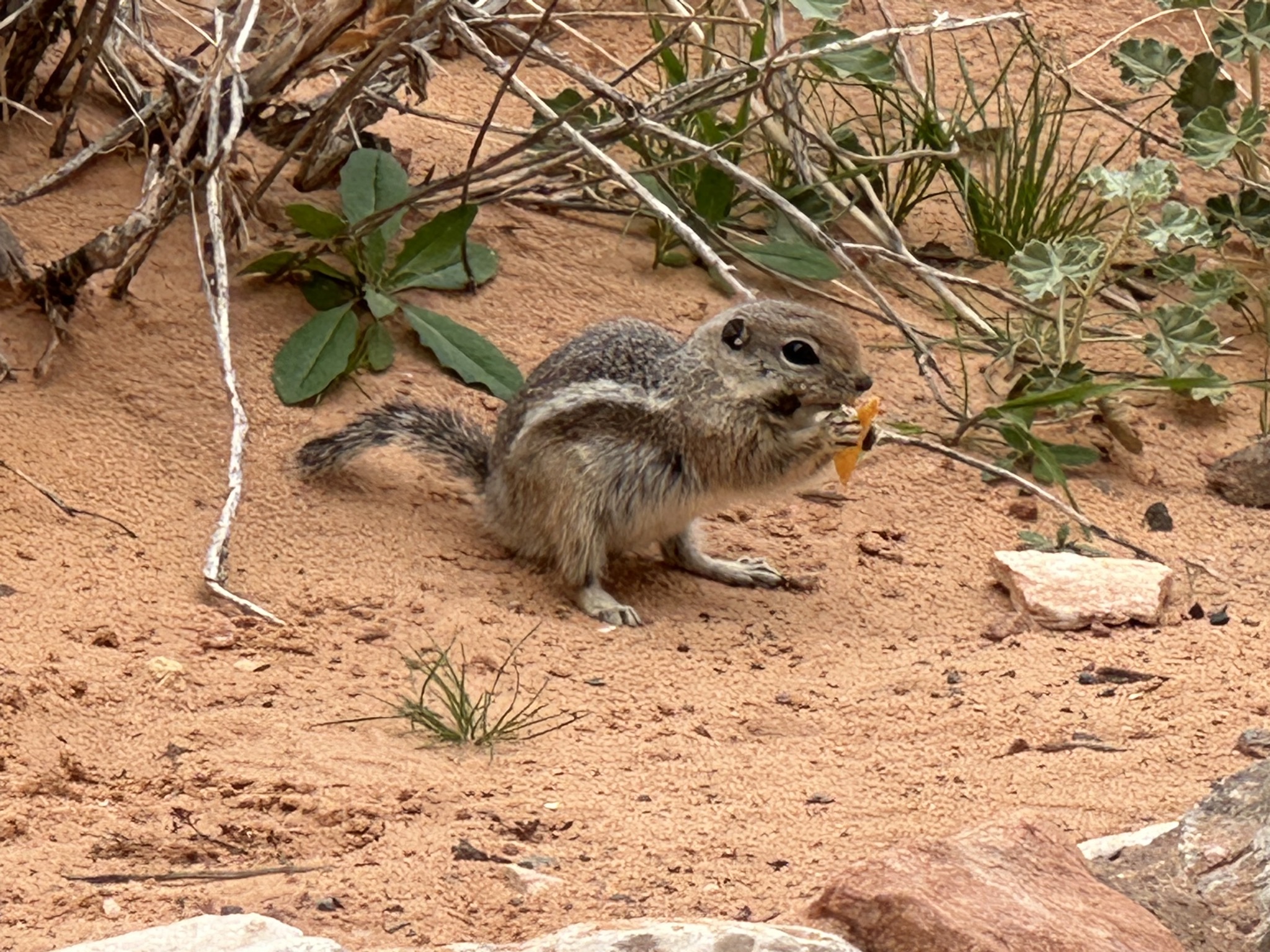 Valley of Fire State Park