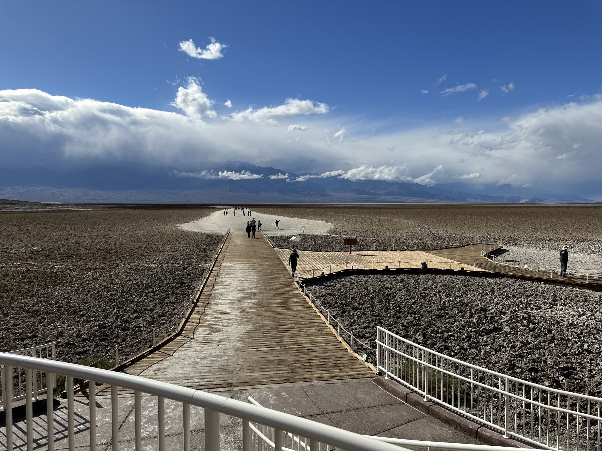 Boardwalk and path