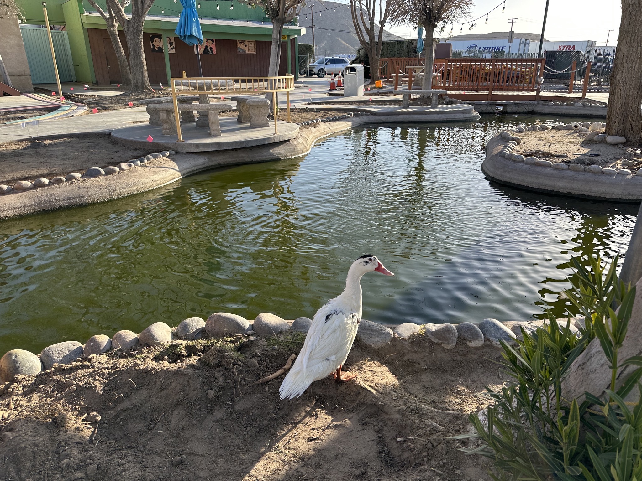 Diner-saur park