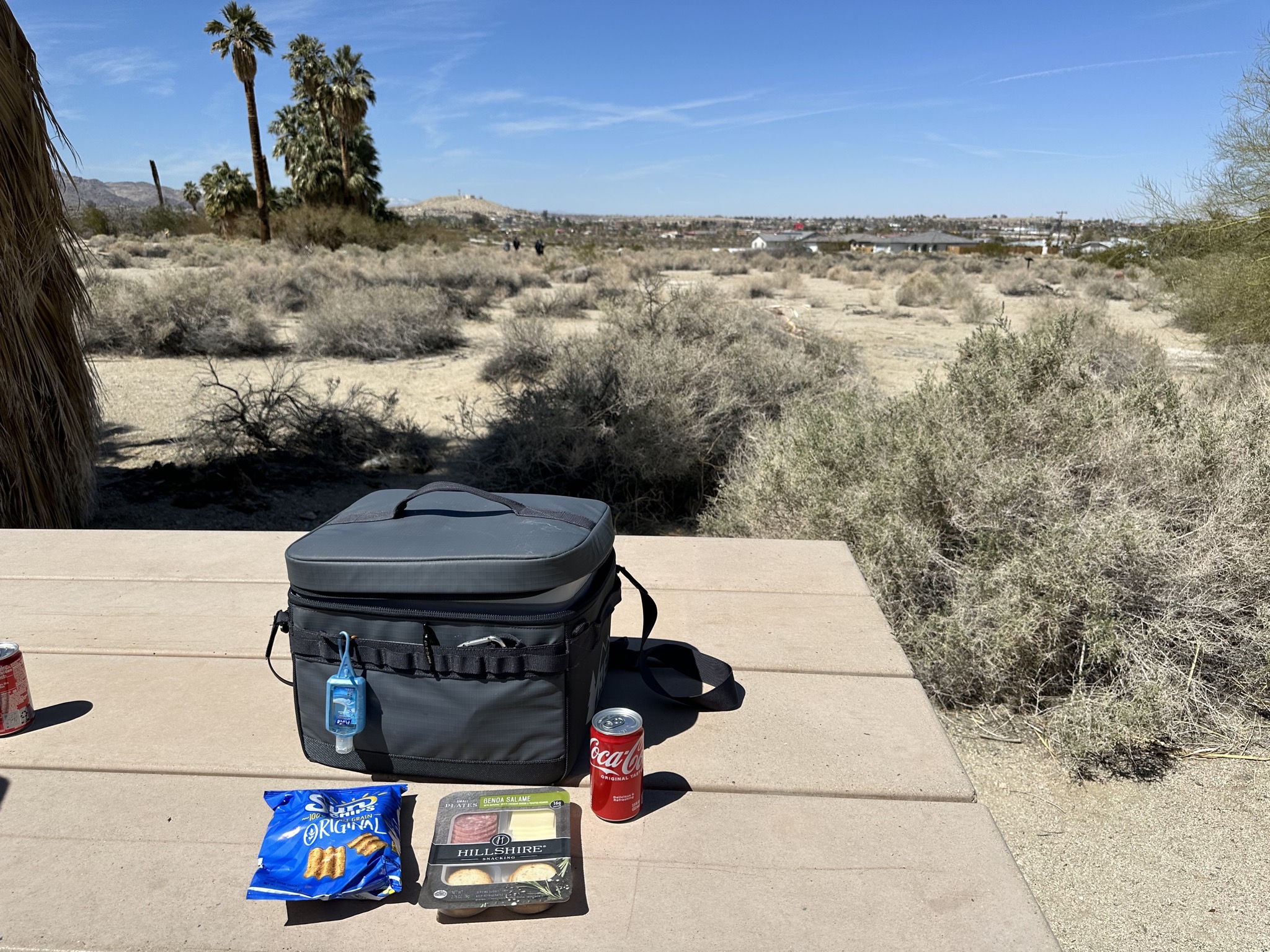 Picnic